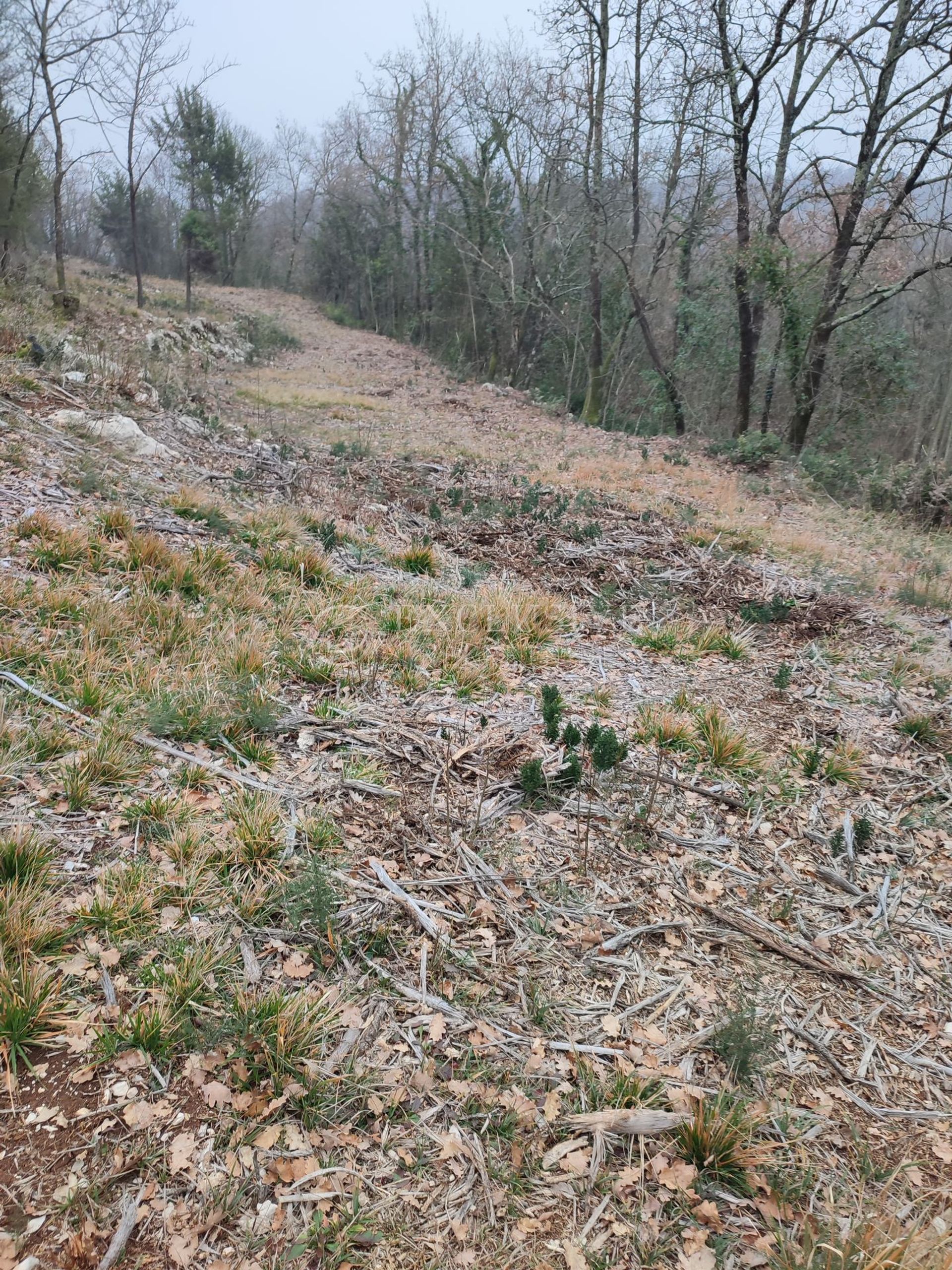 Land im Brseč, Primorje-Gorski Kotar County 11631834