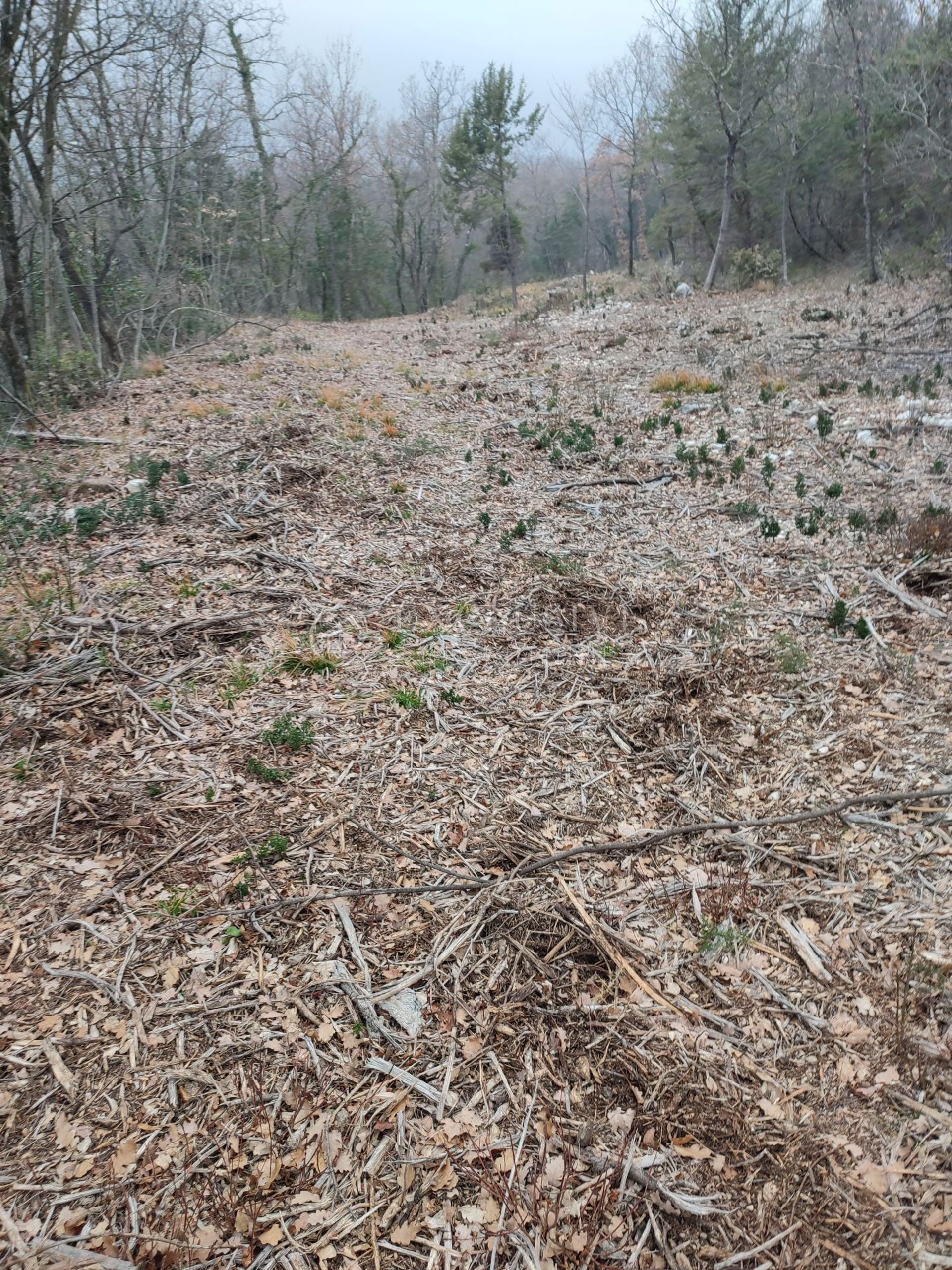 Terre dans Brseč, Primorje-Gorski Kotar County 11631834