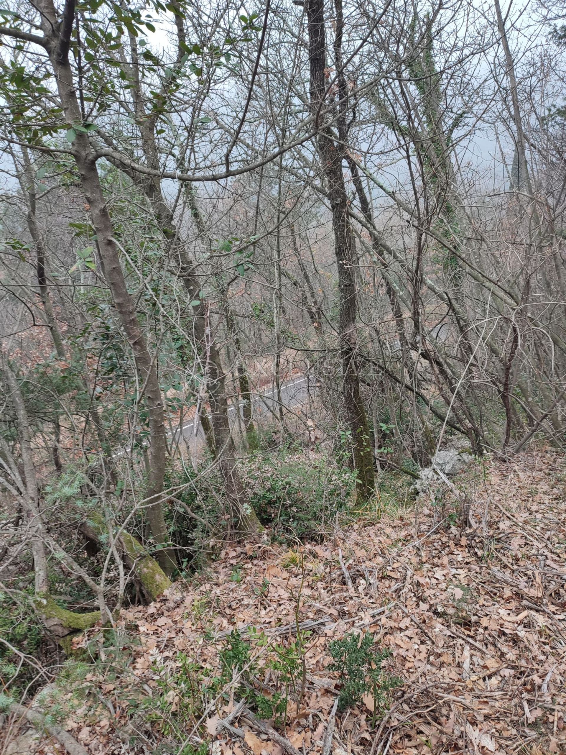 土地 在 莫斯辛尼卡·德拉加, 滨海边疆区-山区祖帕尼娅 11631834