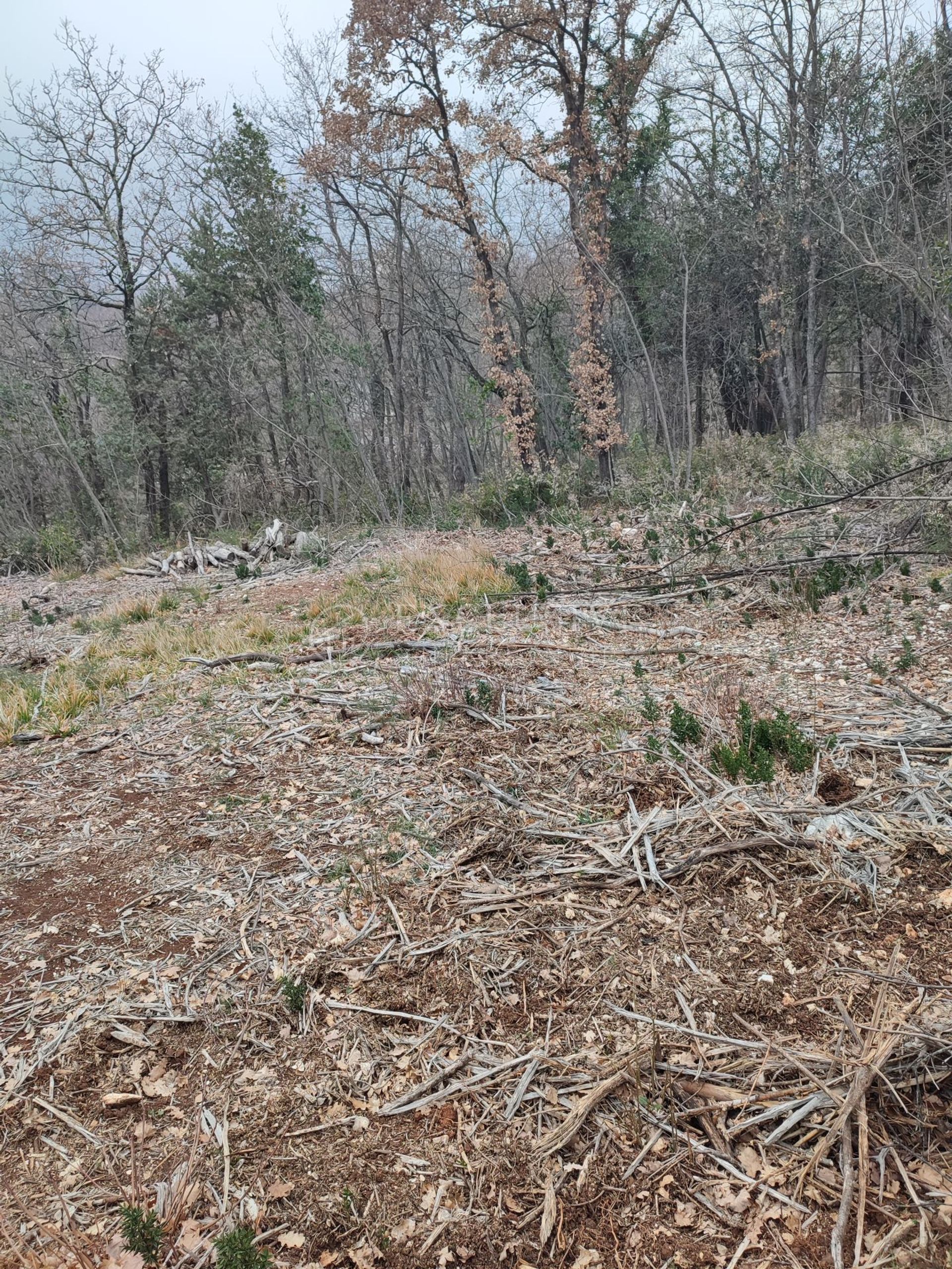 Land im Brseč, Primorje-Gorski Kotar County 11631834