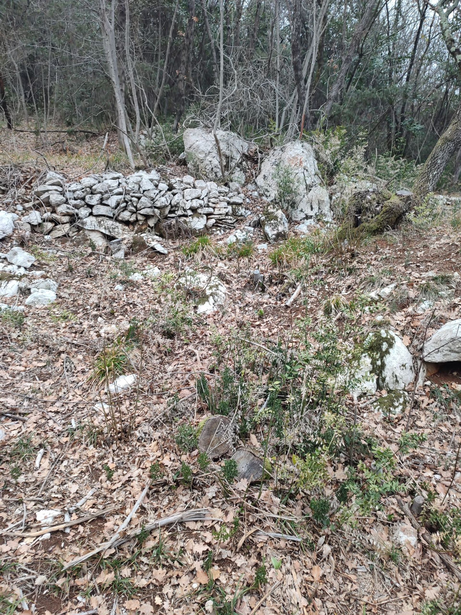 Land im Brseč, Primorje-Gorski Kotar County 11631834