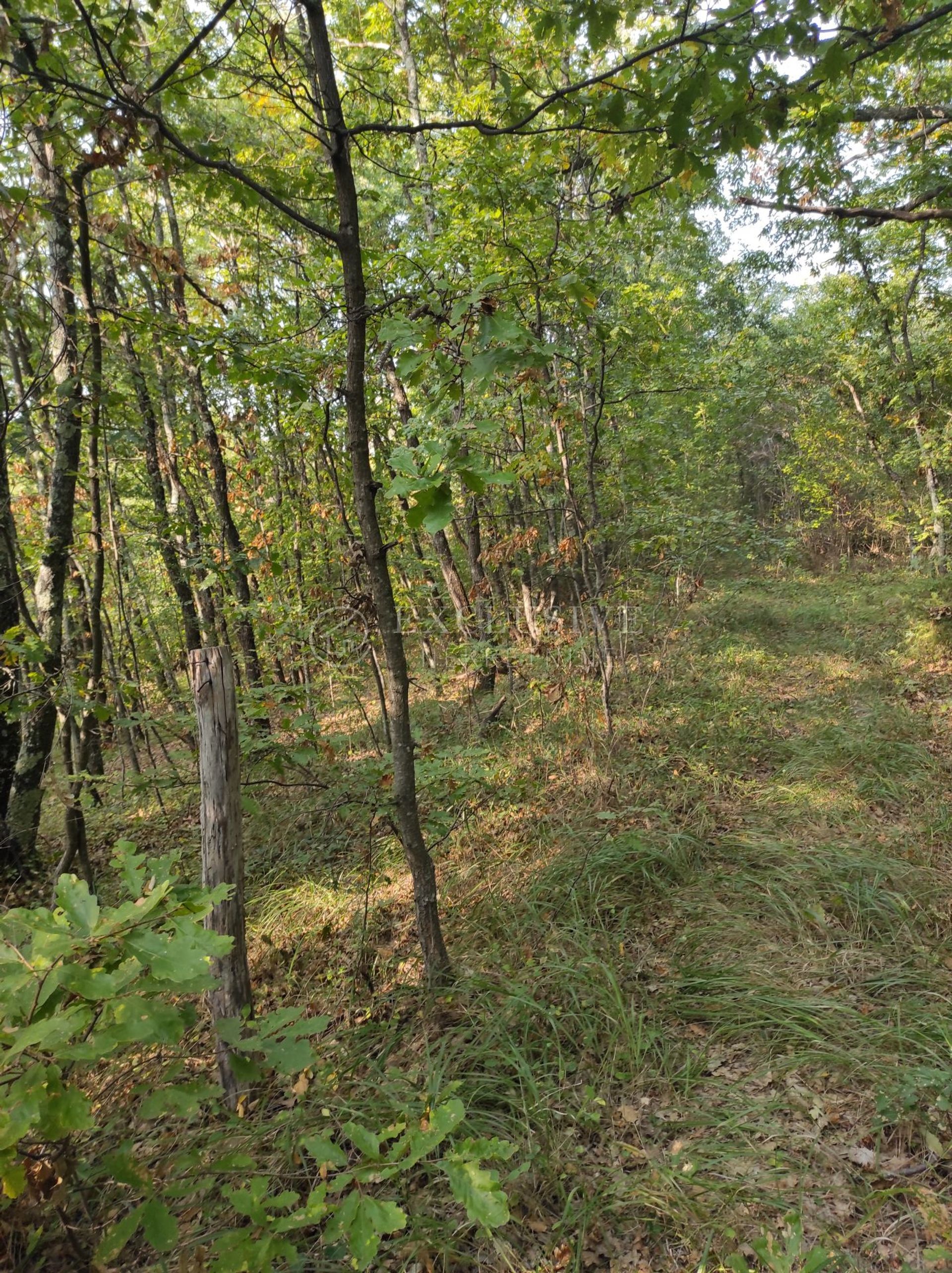 Land in Gradišće, Istarska županija 11631937