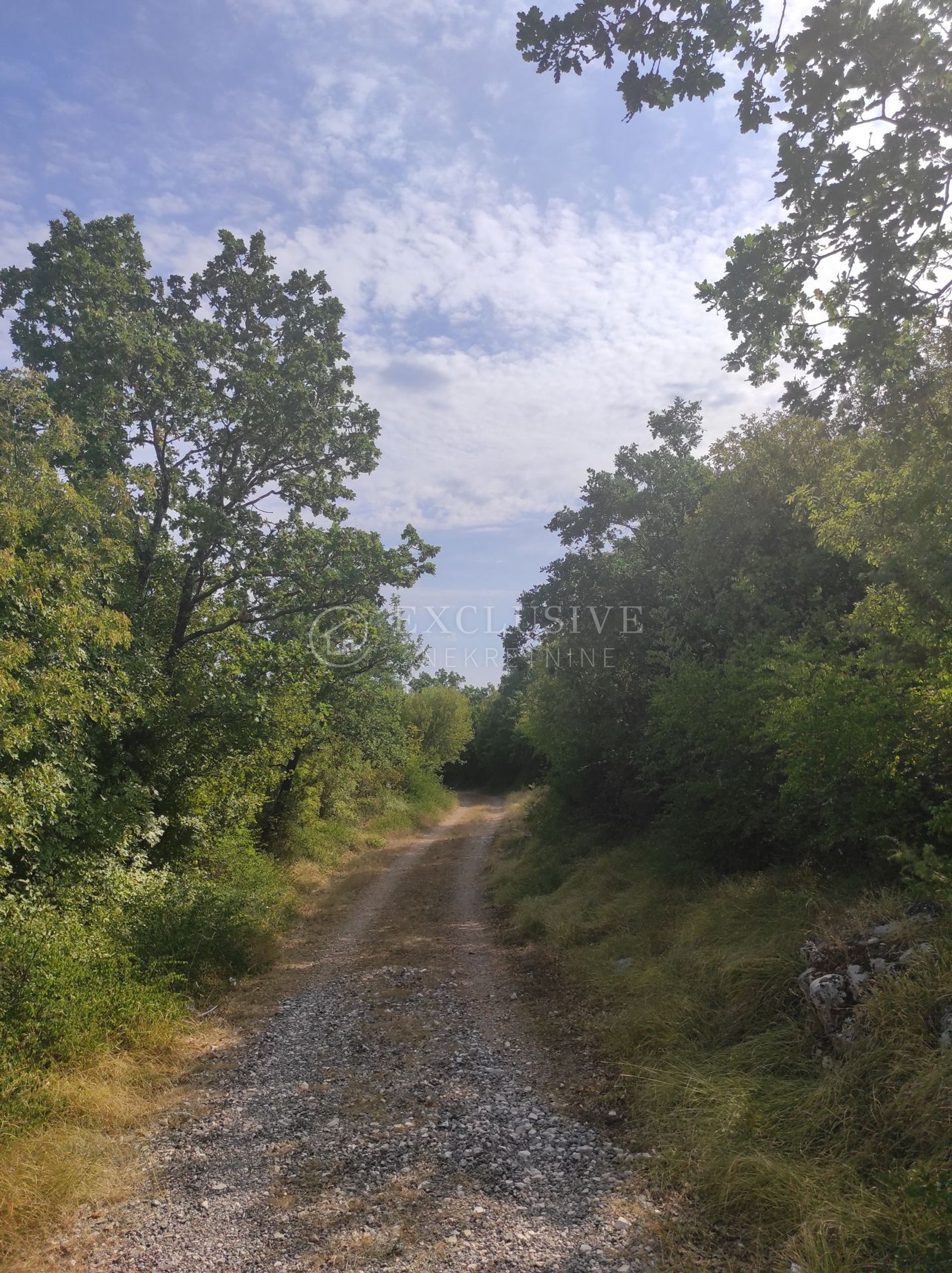 Land i Sveti Lovrec Pazenaticki, Istarska Zupanija 11631981