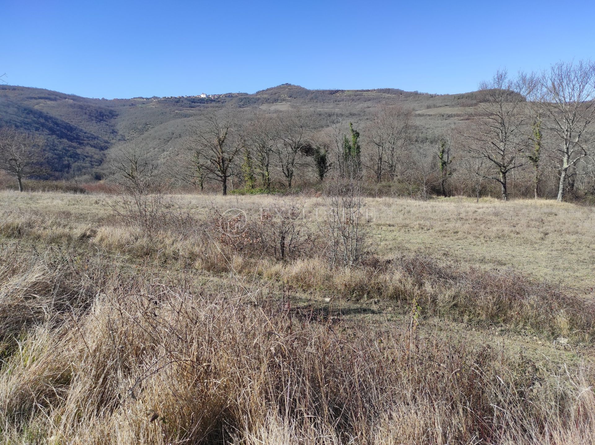 Tanah di Motovun, Istarska Zupanija 11632118