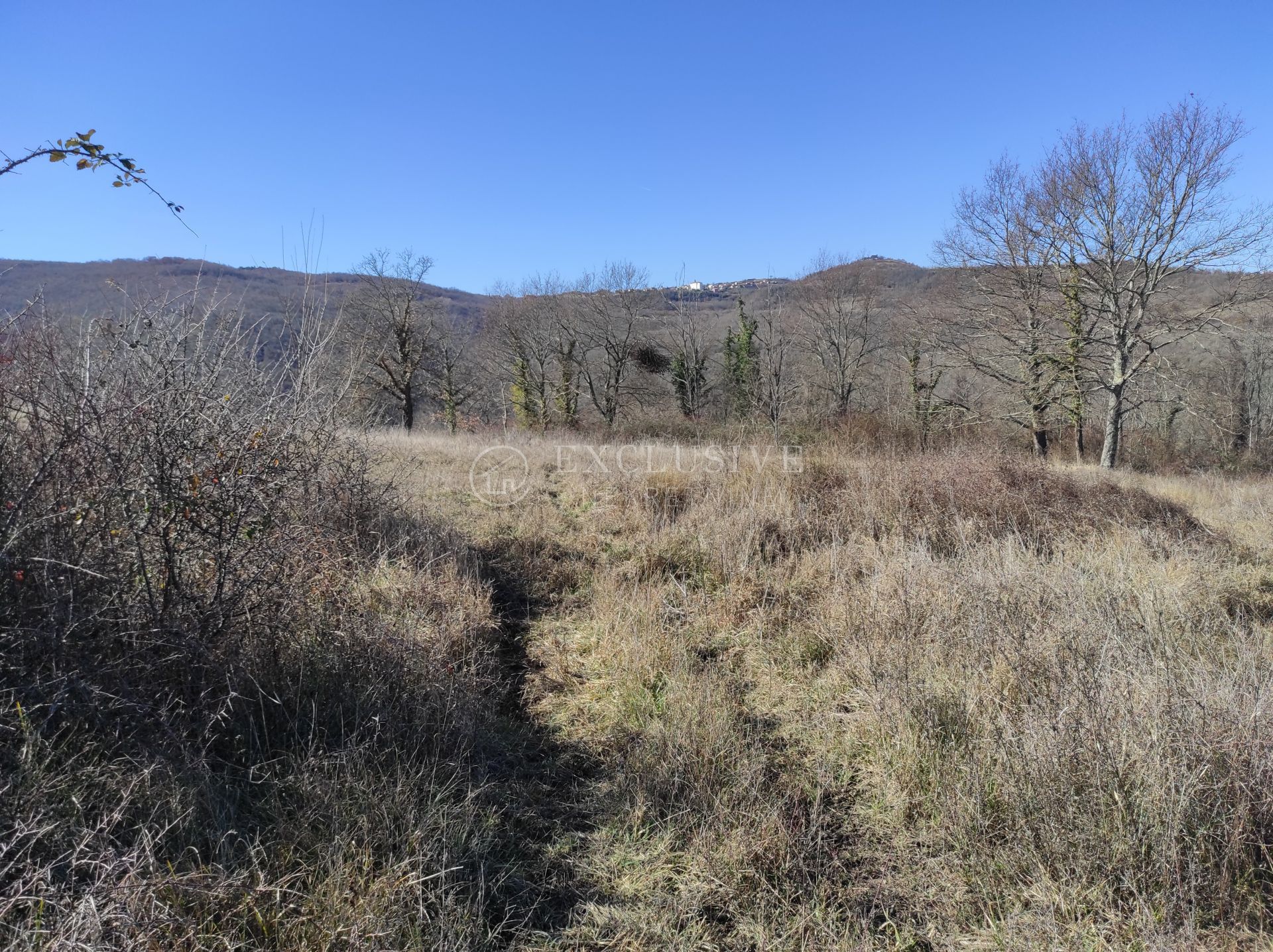 Land i Motovun, Istarska Zupanija 11632118