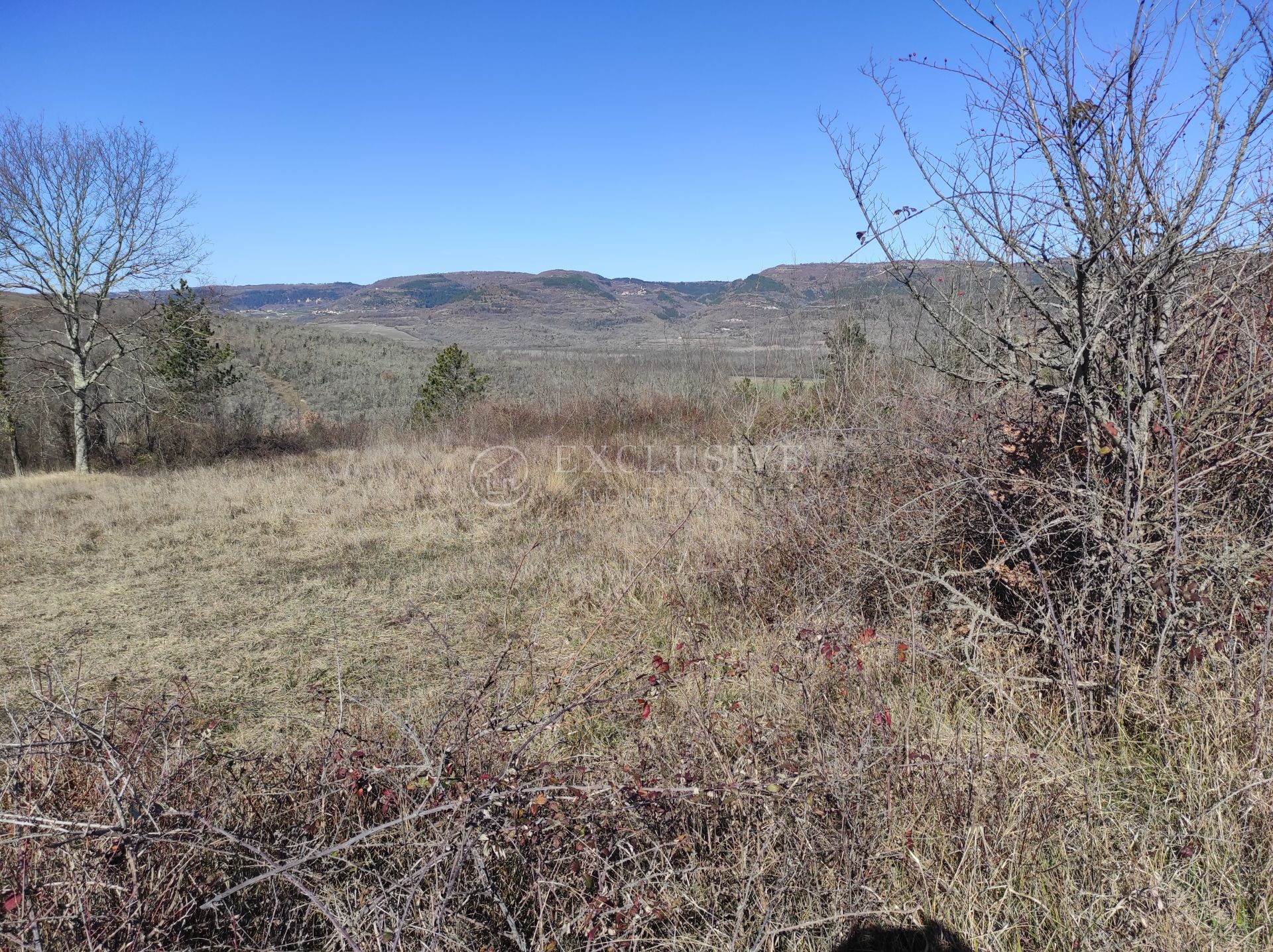 Land i Motovun, Istarska Zupanija 11632118