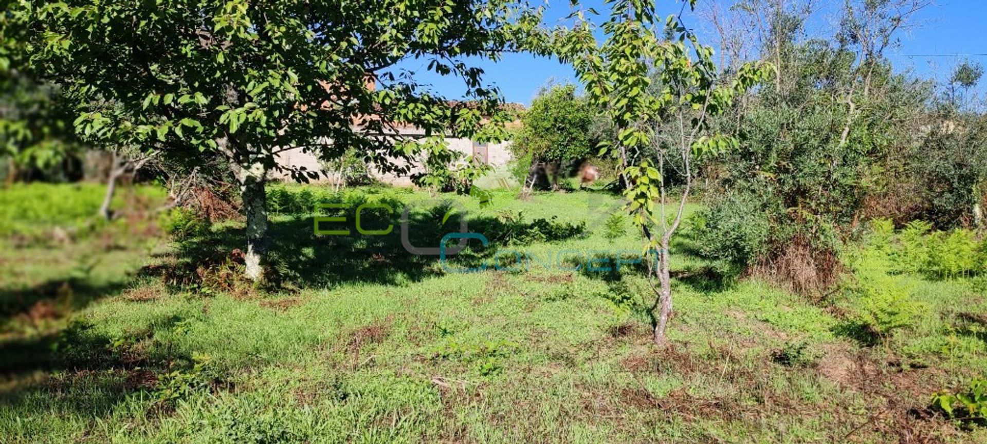 Land in Bairradas, Leiria 11632754