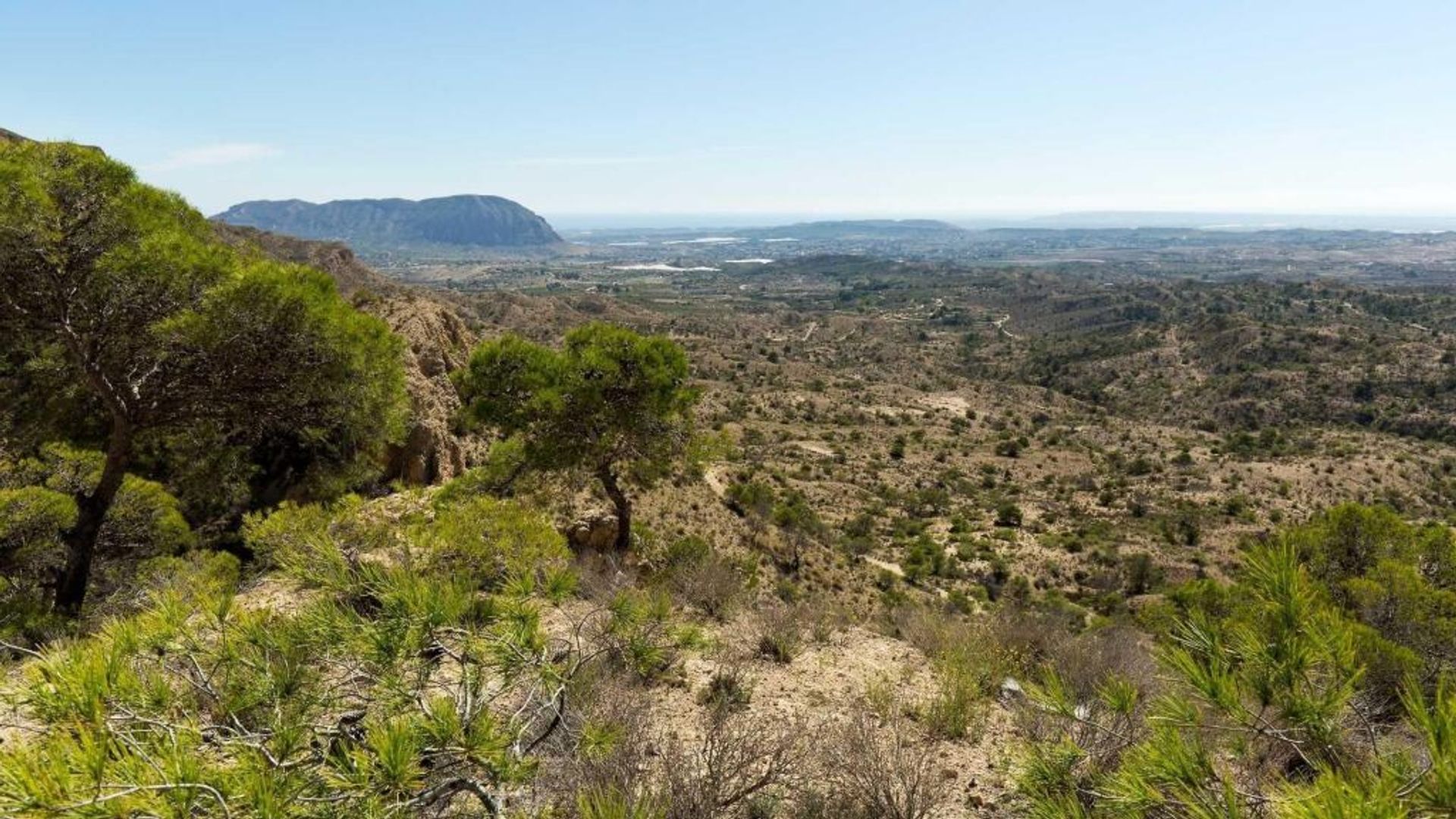 Talo sisään Aspe, Comunidad Valenciana 11633026