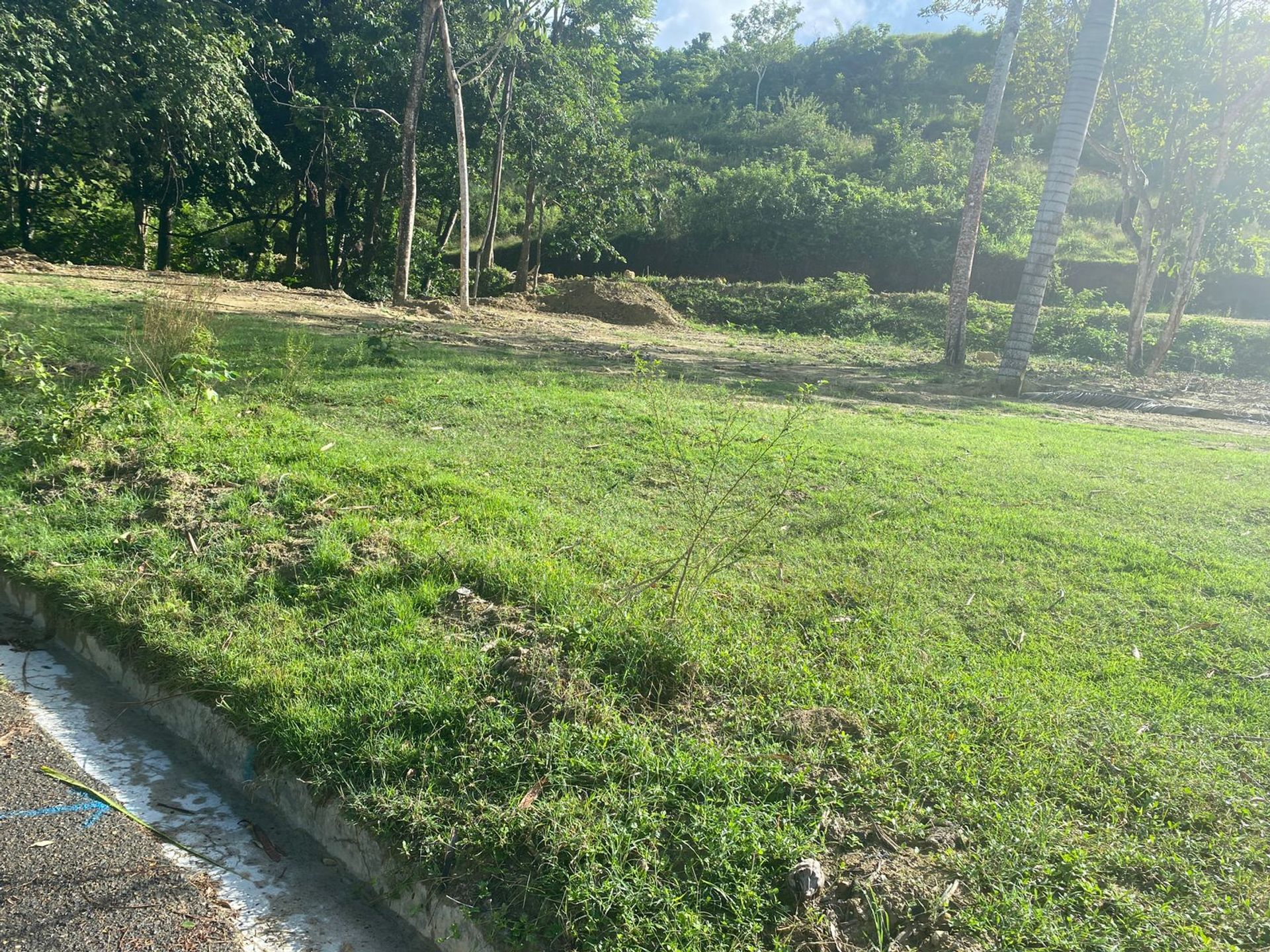 Land in Los Mameyes, Cibao Norte 11633324