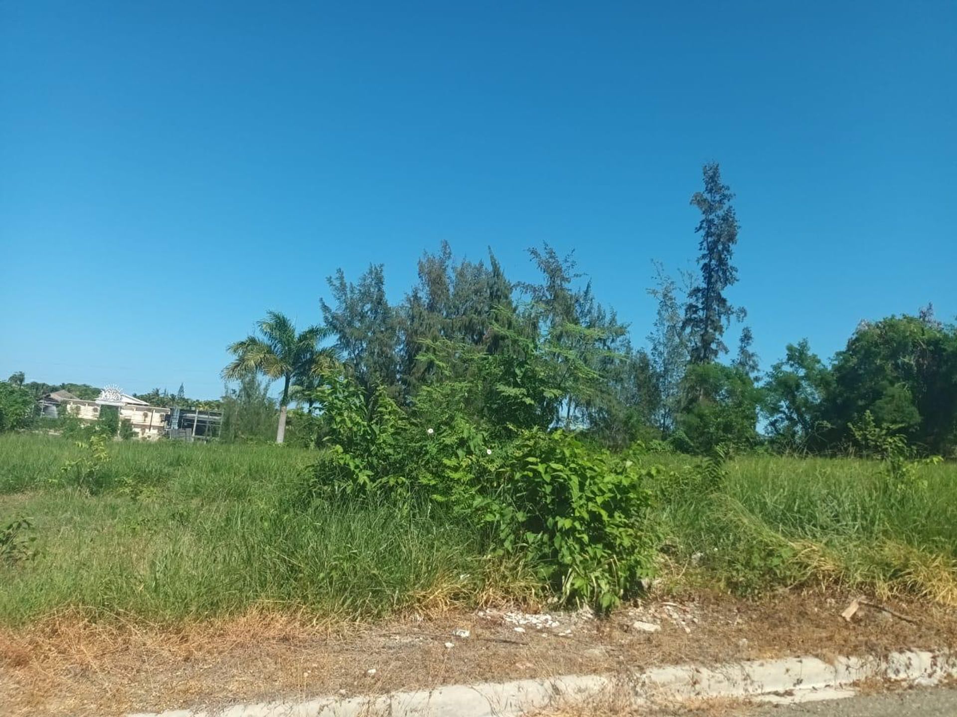 Land in Los Mameyes, Cibao Norte 11633325