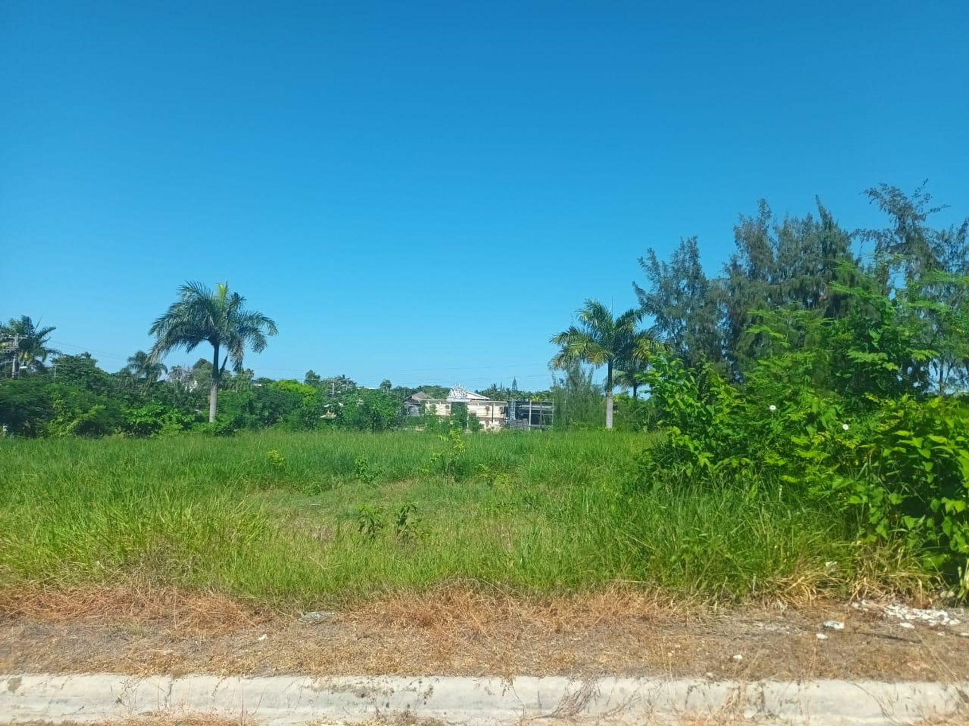 Land i Los Mameyes, Cibao Norte 11633325