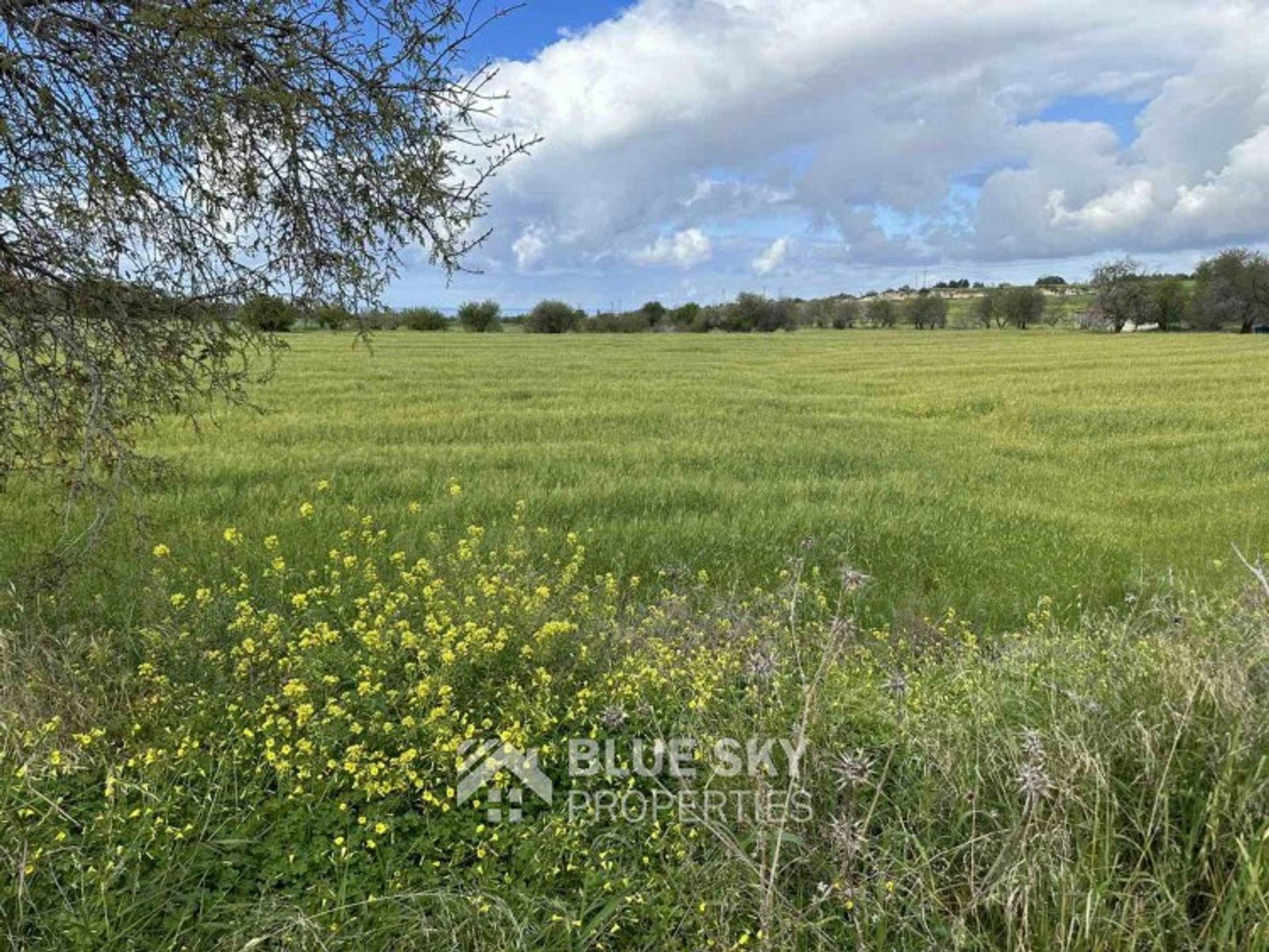 Tanah di Anarita, Paphos 11633383