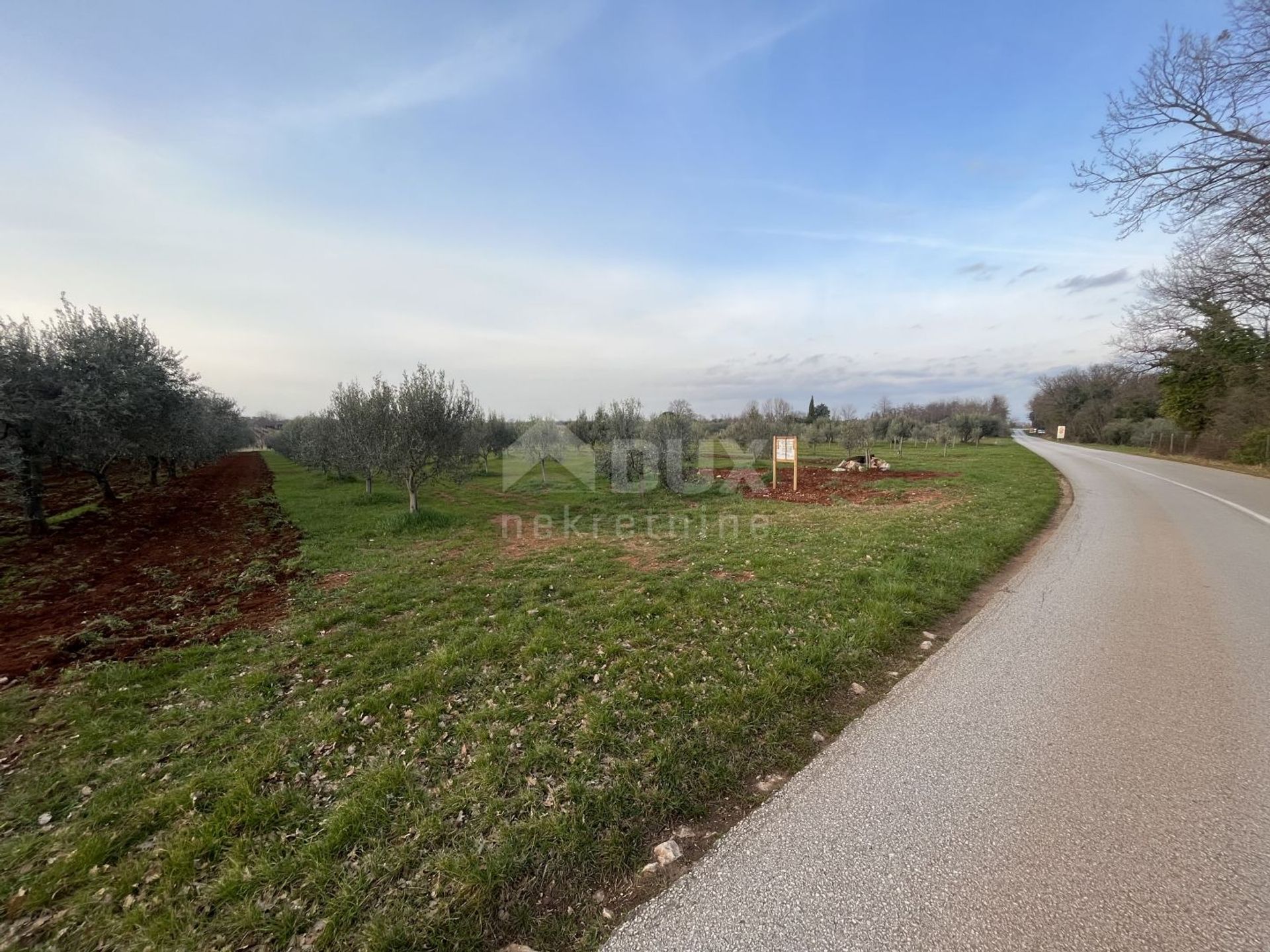 Land im Brtonigla, Istria County 11633405