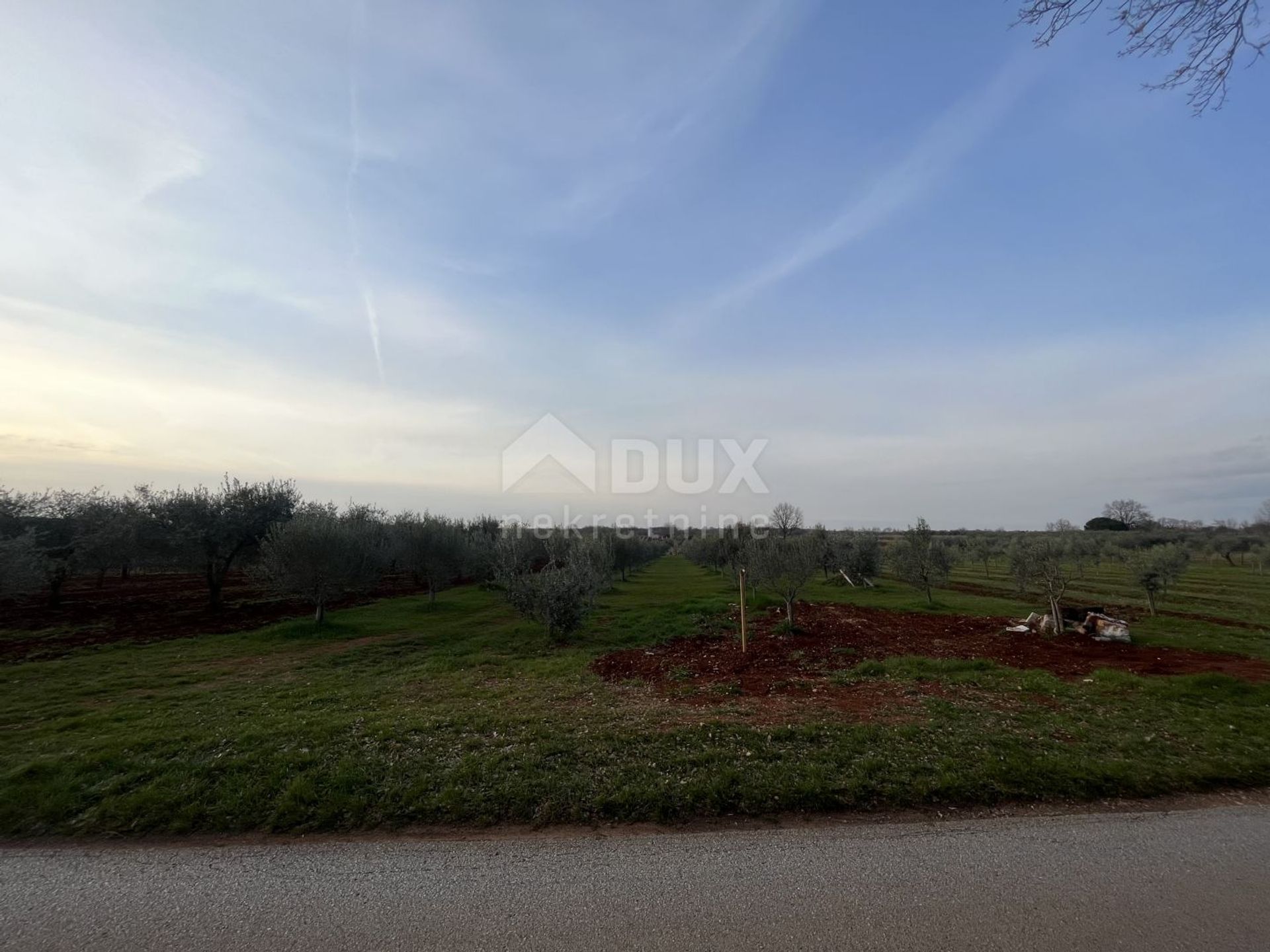 Land im Brtonigla, Istria County 11633405