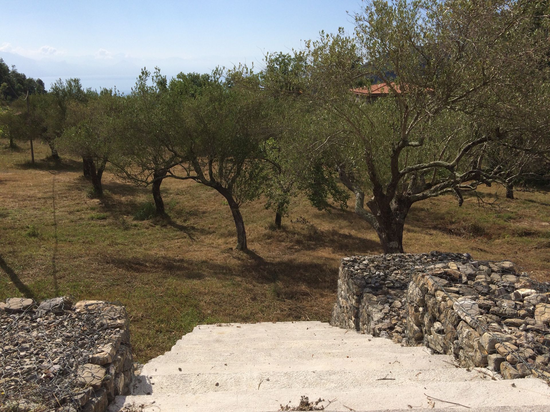 casa en San Giovanni a Piro, Campania 11633728