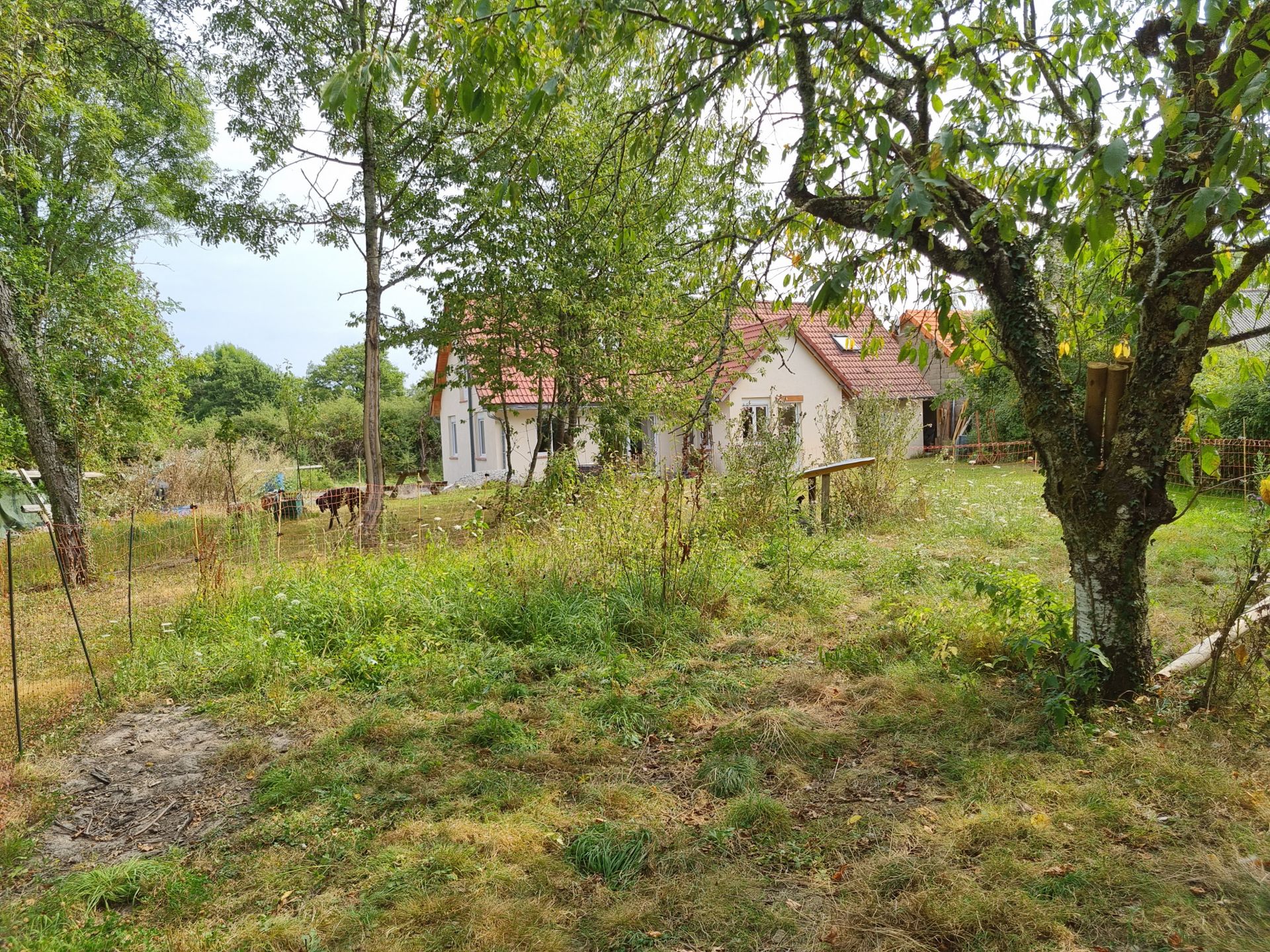 Hus i , Nouvelle-Aquitaine 11635377