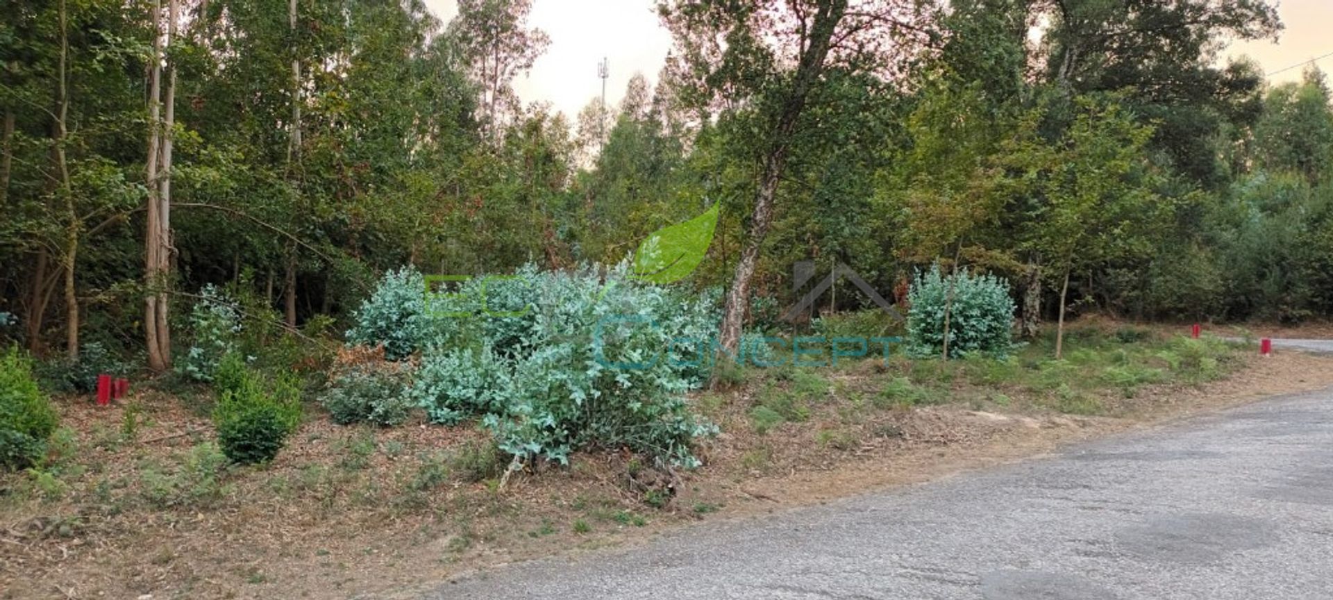 Tanah di Pinheiro da Bemposta, Aveiro 11636072