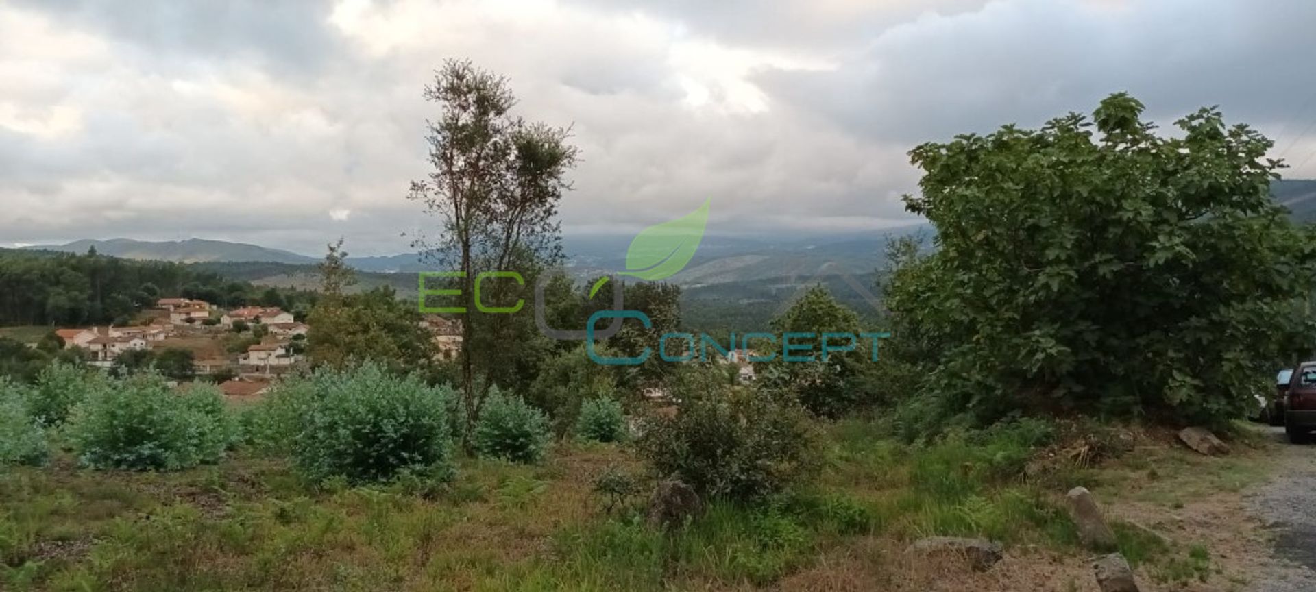 Land in Pinheiro da Bemposta, Aveiro 11636073