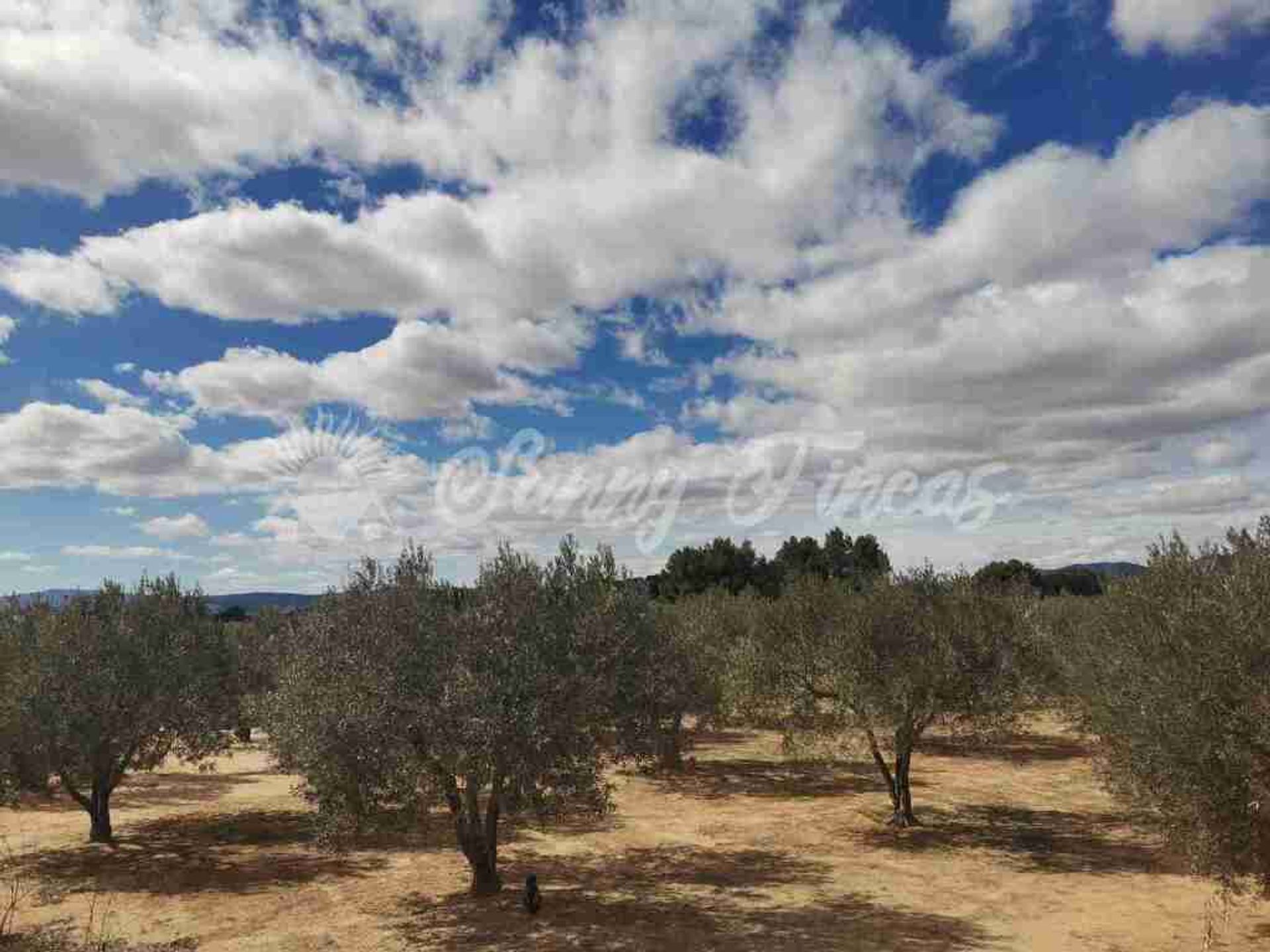 σπίτι σε Villena, Comunidad Valenciana 11636201