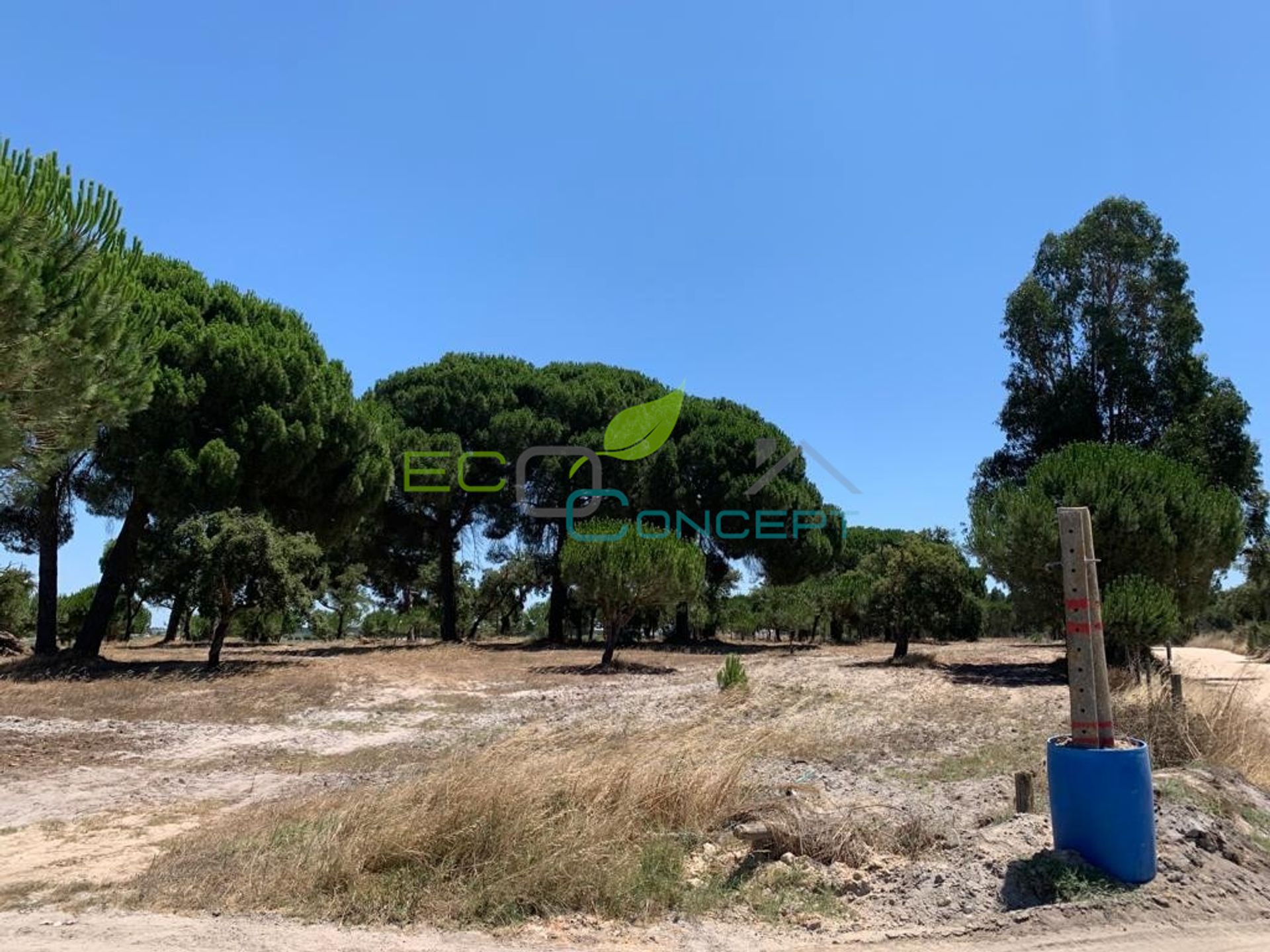 Terra no Pinhal Novo, Setubal 11637245