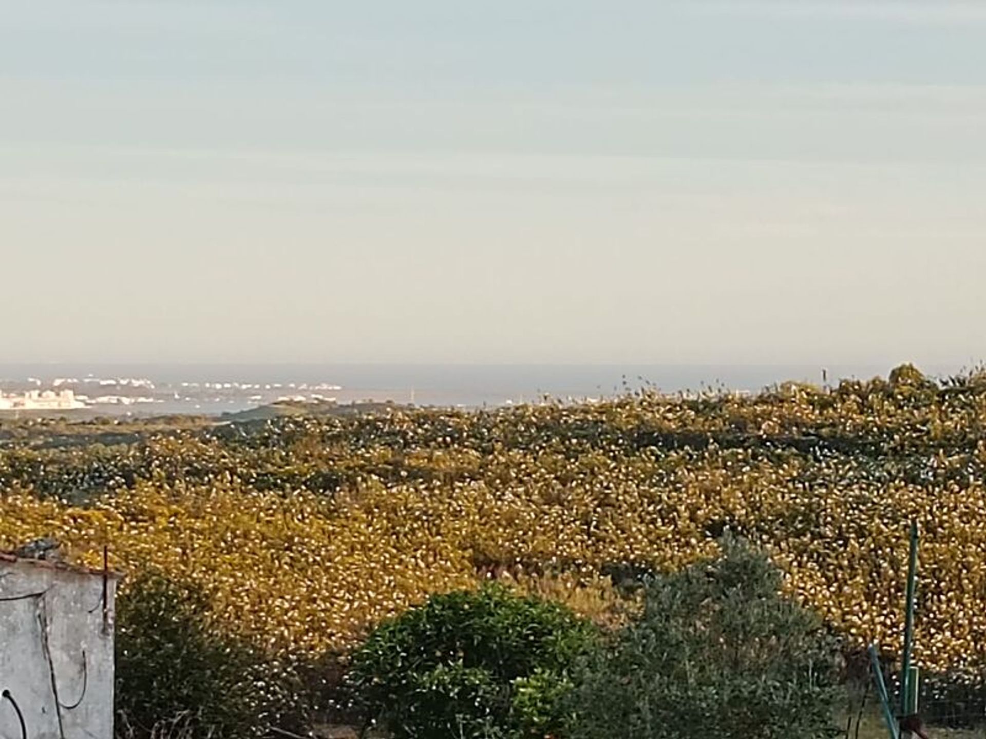 土地 在 奧德萊特, 法魯 11637823