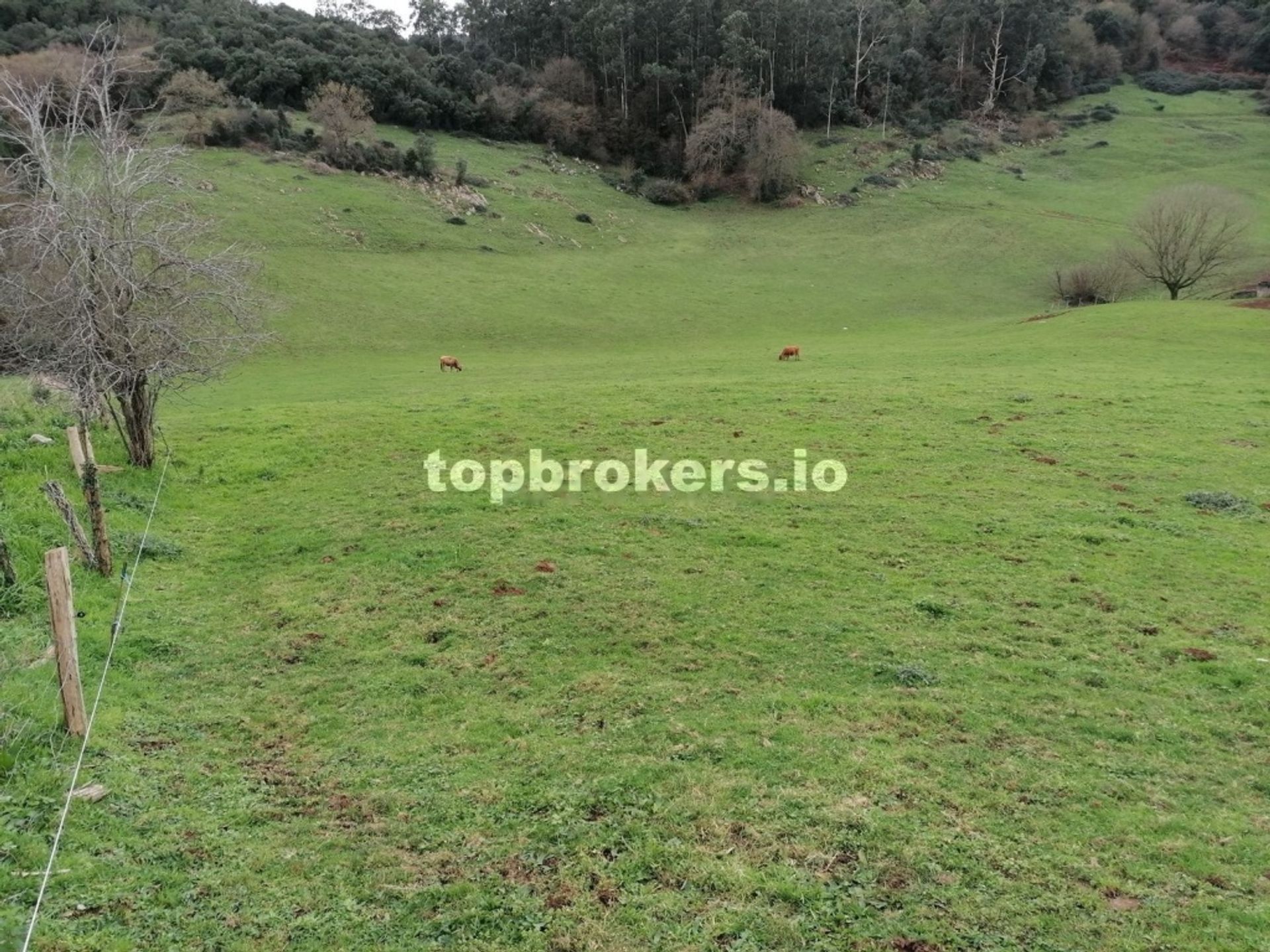 σπίτι σε Hazas de Cesto, Cantabria 11638700