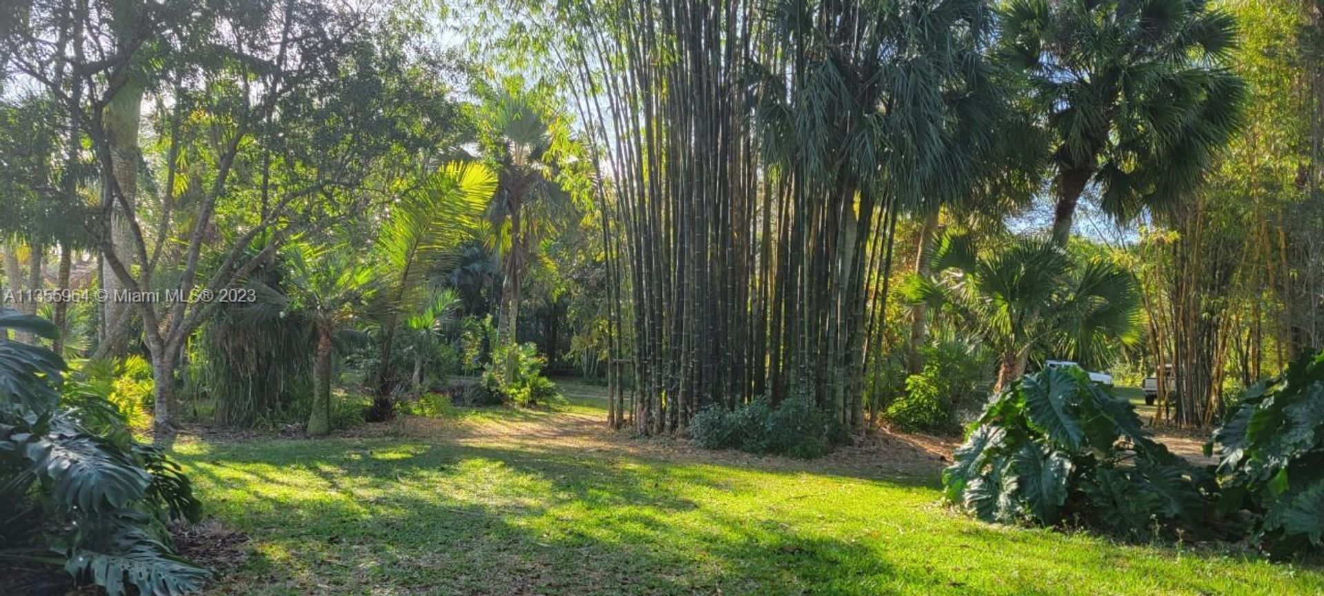 casa no Terra Vermelha, Flórida 11638761