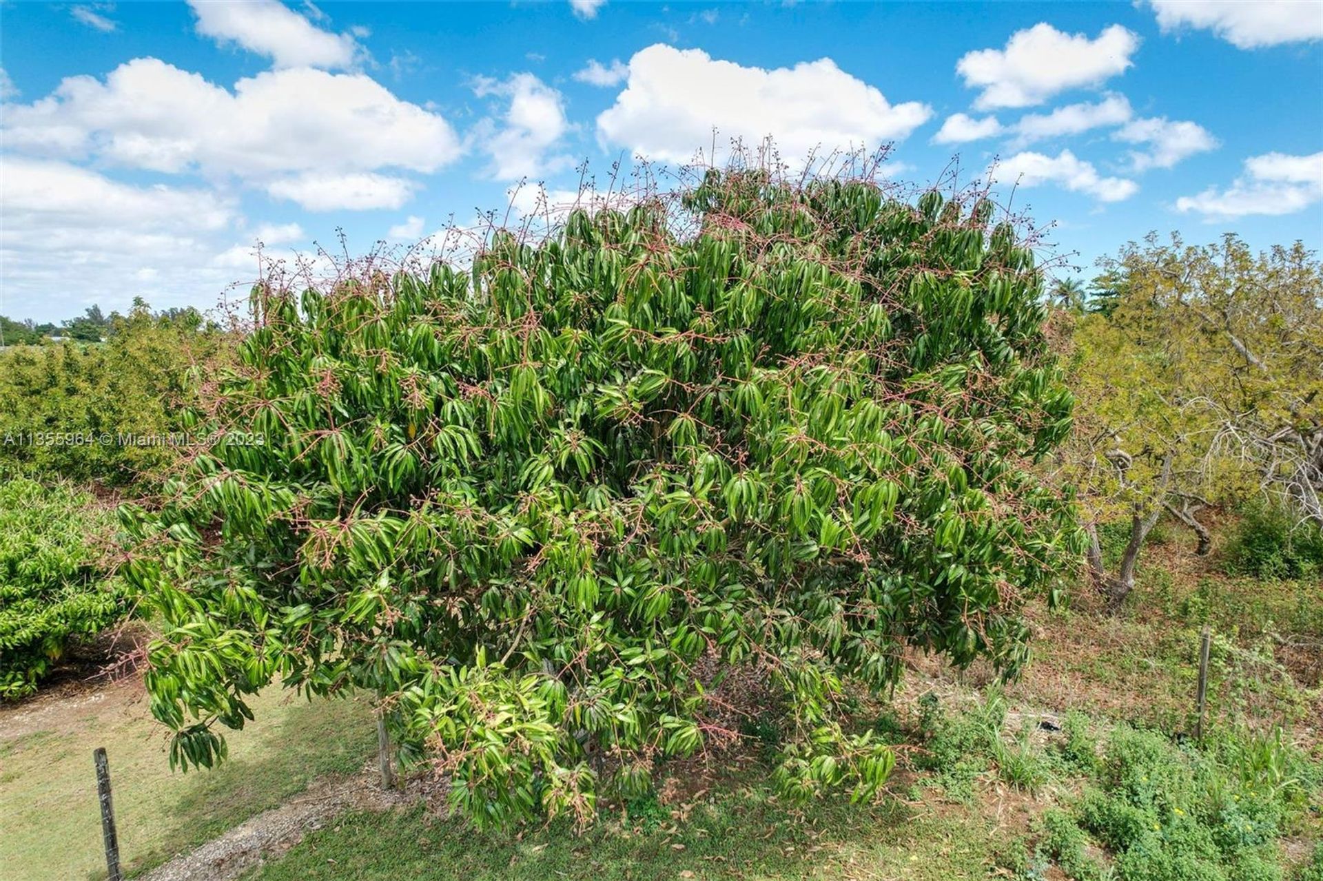 Talo sisään Redland, Florida 11638761