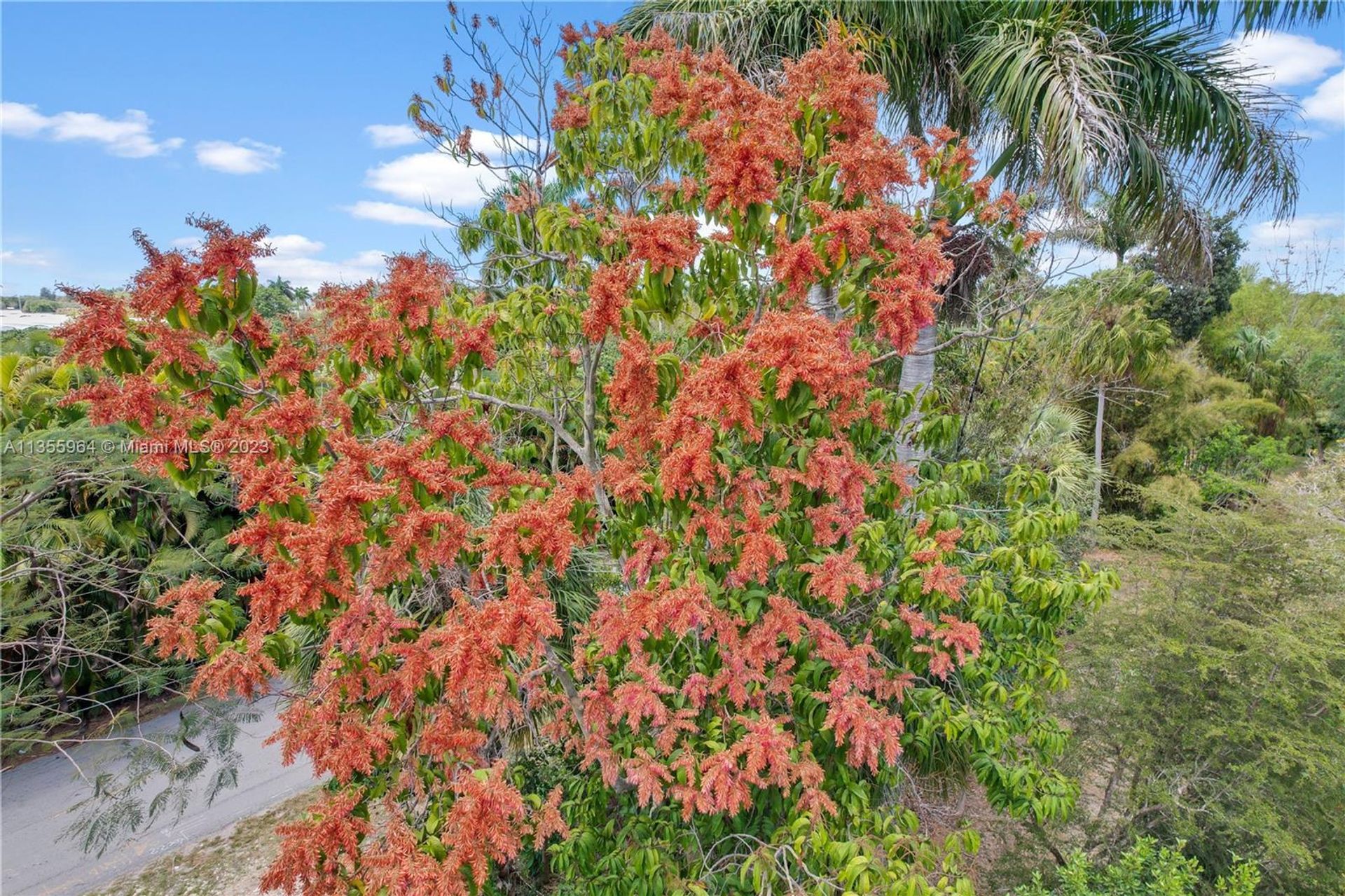 Talo sisään Redland, Florida 11638761