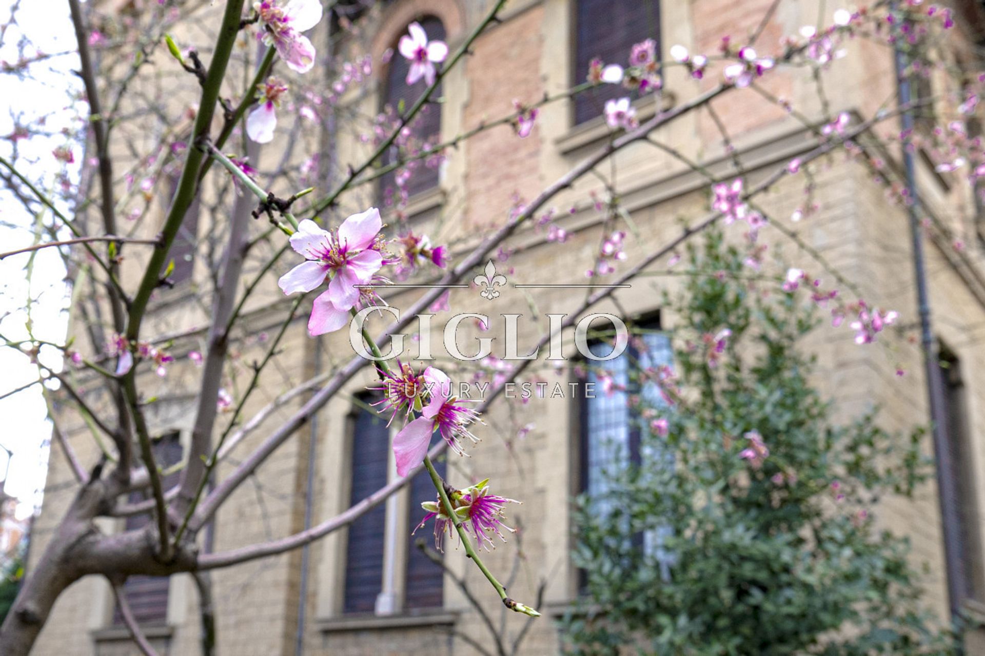 Bienes raíces en Firenze, Viale Belfiore 11640291