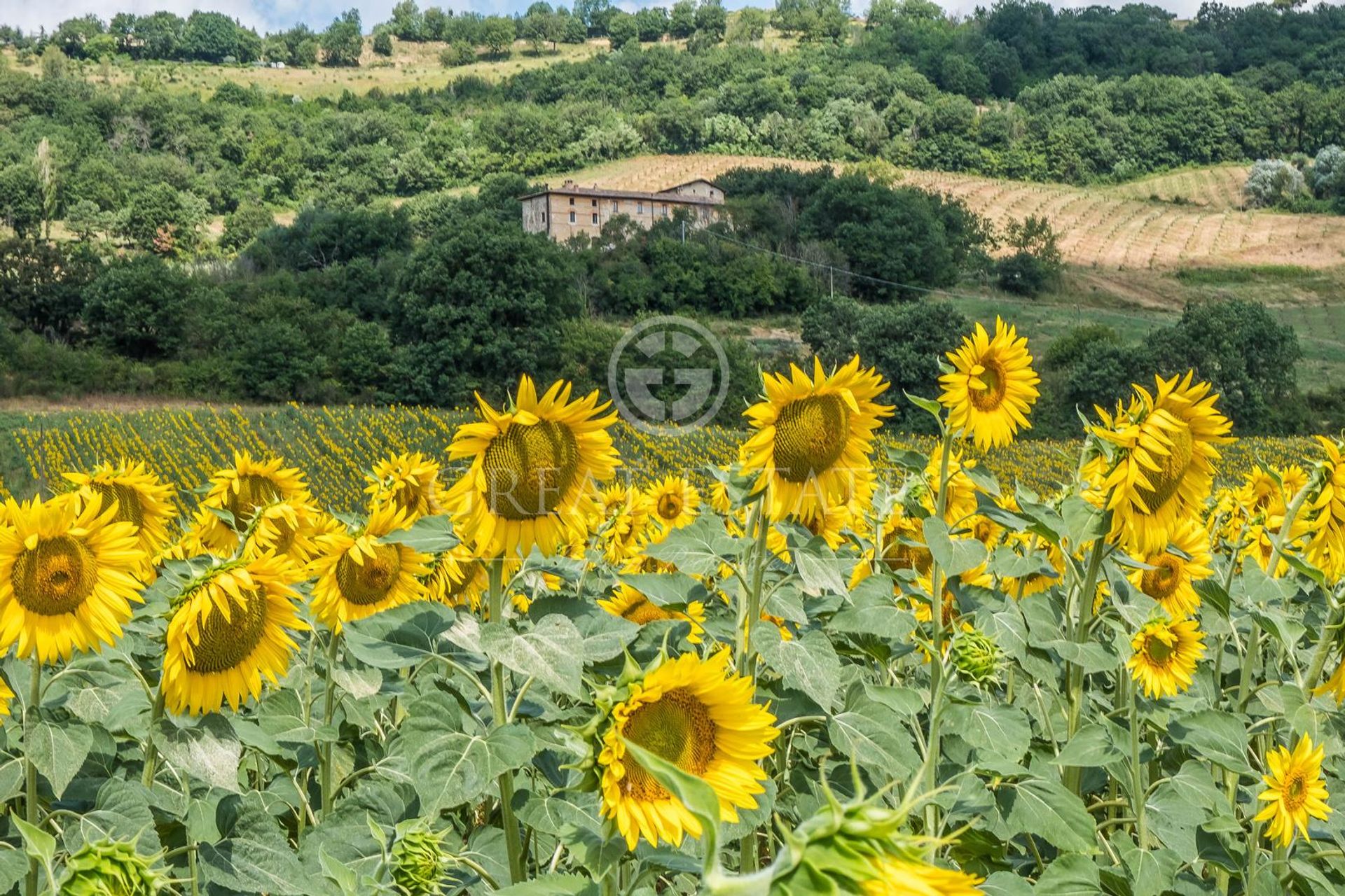 Talo sisään Umbertide, Umbria 11640915