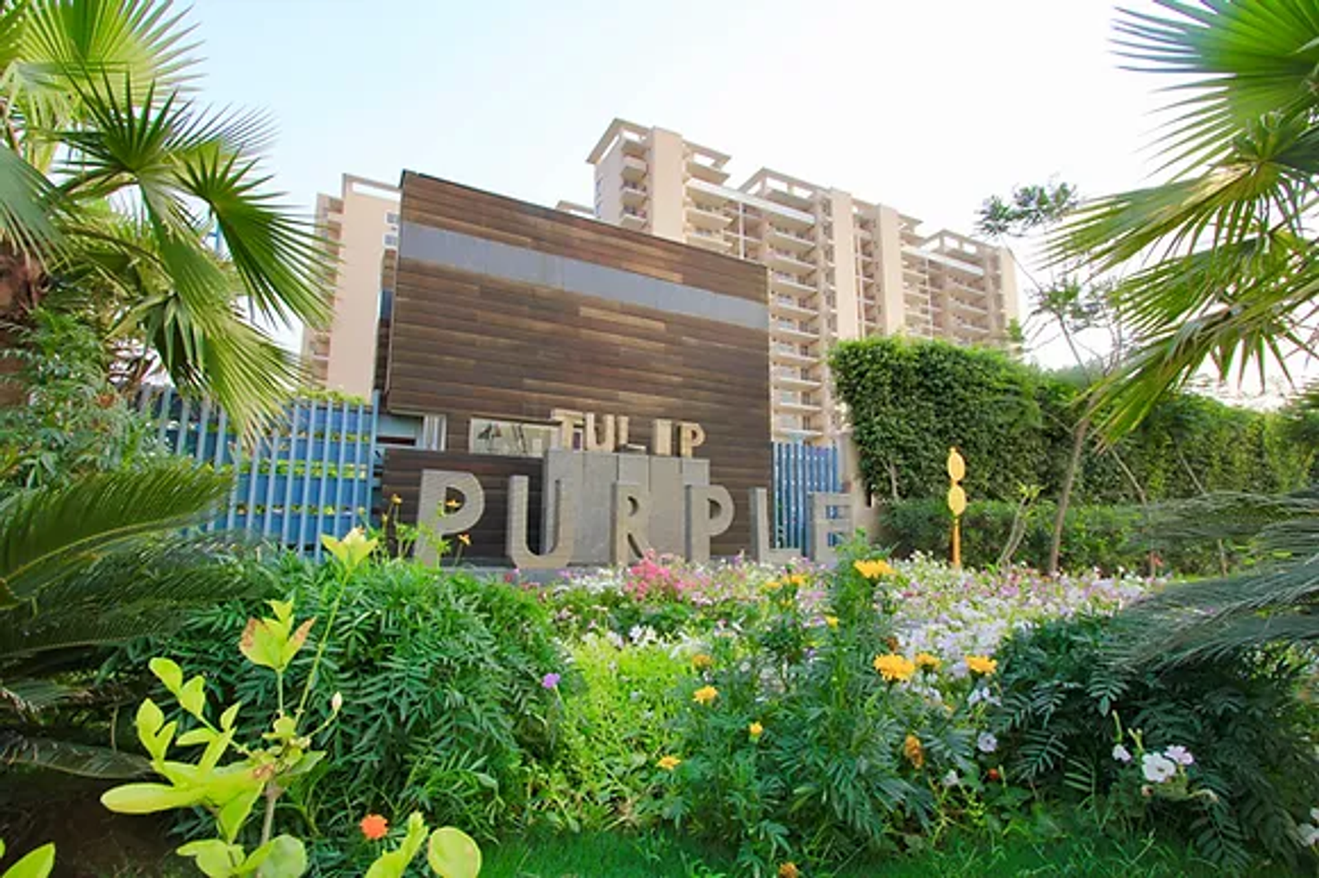 Condominium in Narsinghpur, Haryana 11641935