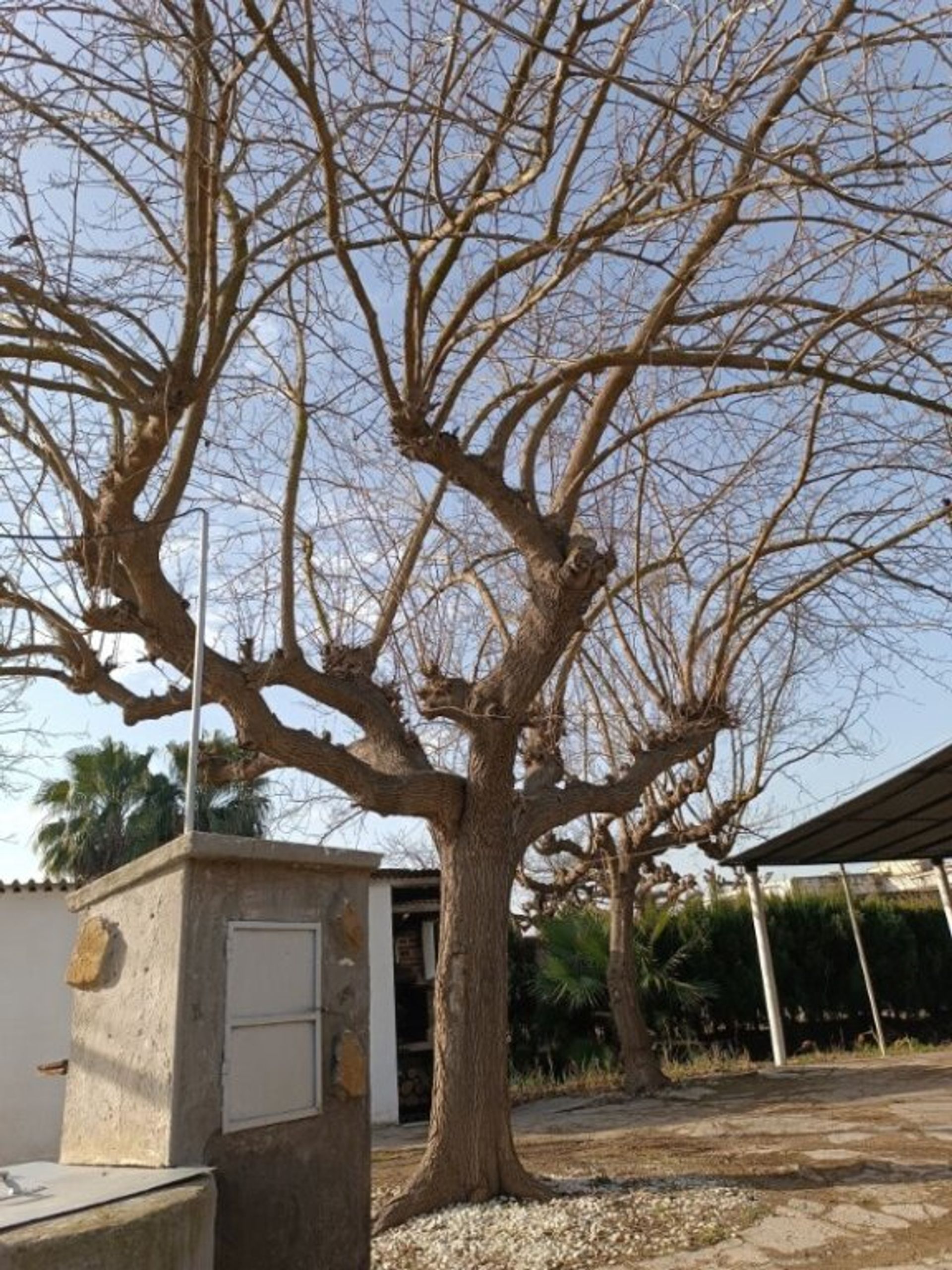 casa en Castelló de la Plana, Comunidad Valenciana 11642905