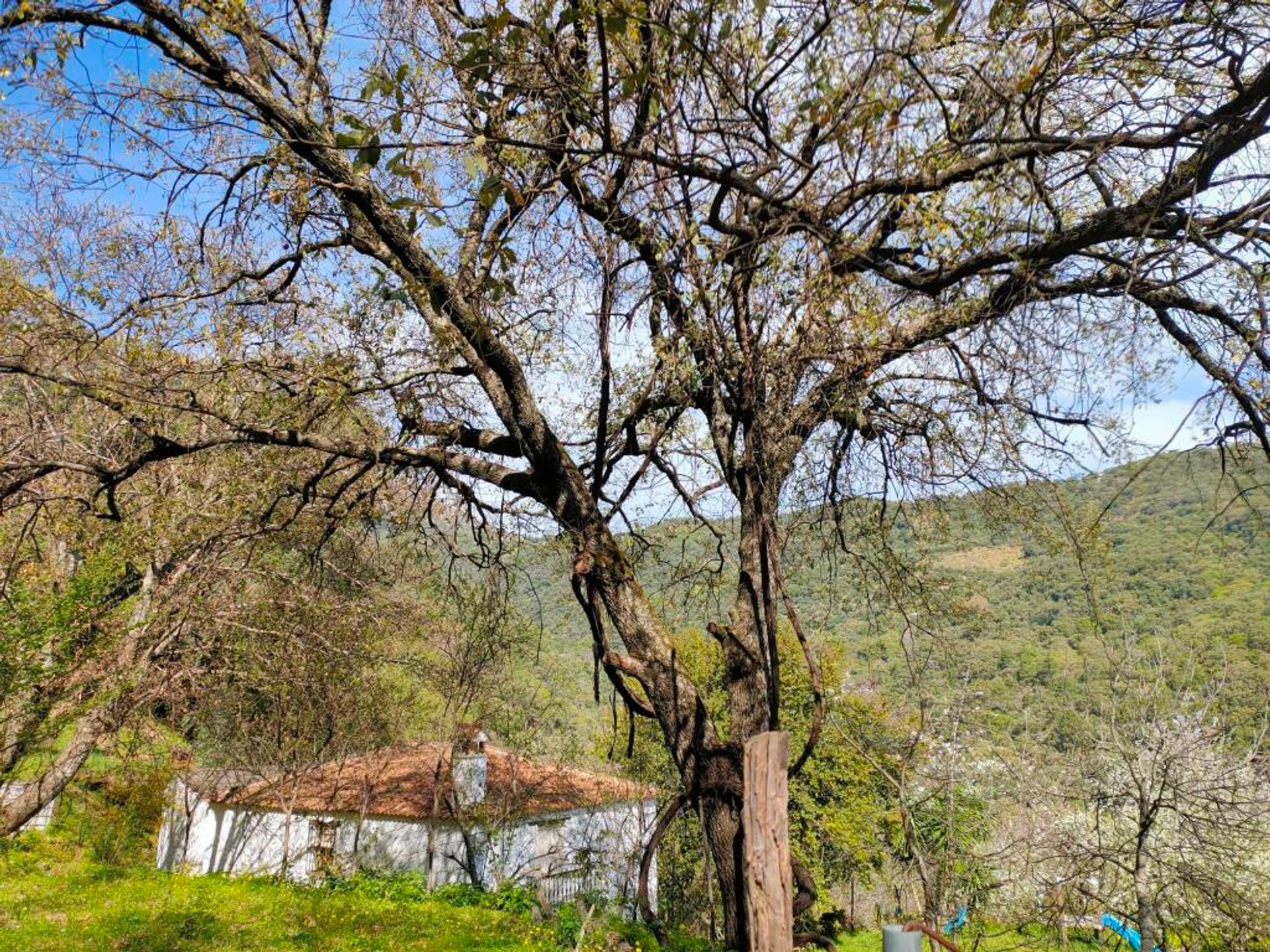 casa no Benalauría, Andalucía 11642929