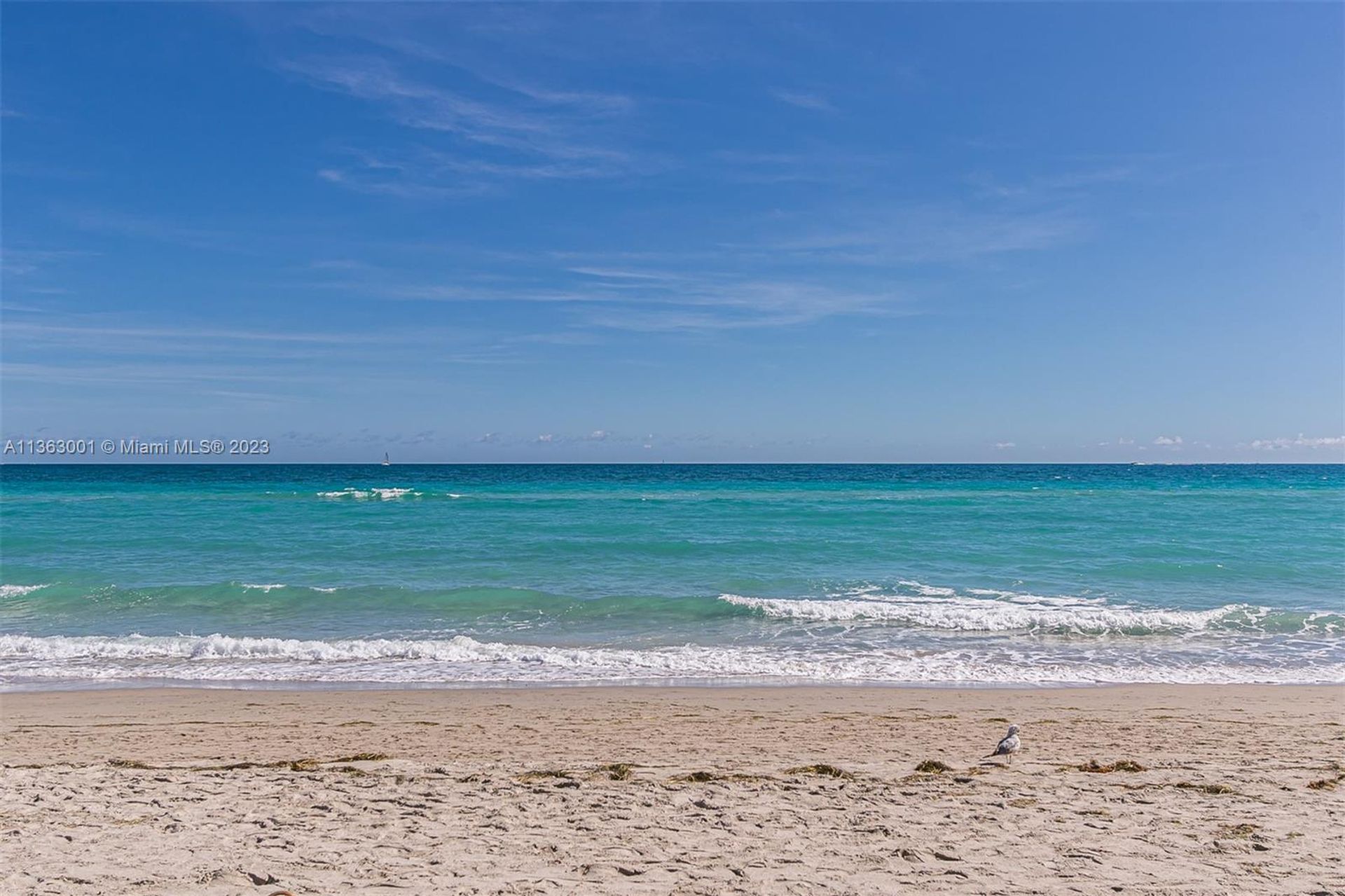 公寓 在 Hollywood, Florida 11642982