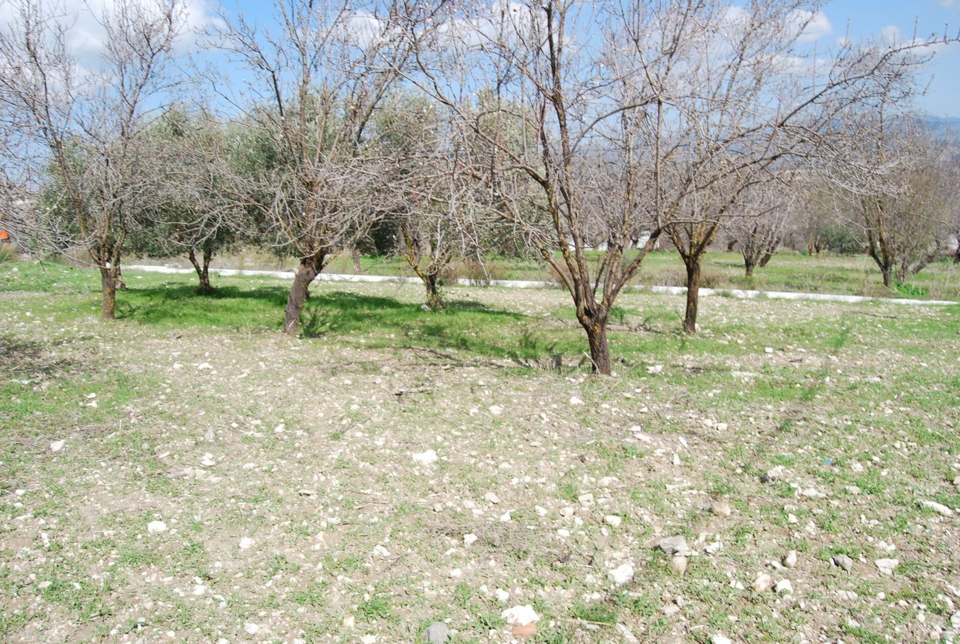 casa no Mesa Chorio, Pafos 11643390