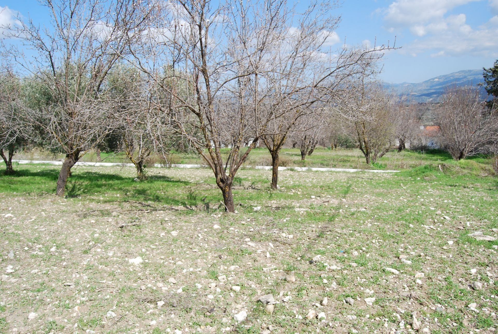 casa no Mesa Chorio, Pafos 11643390