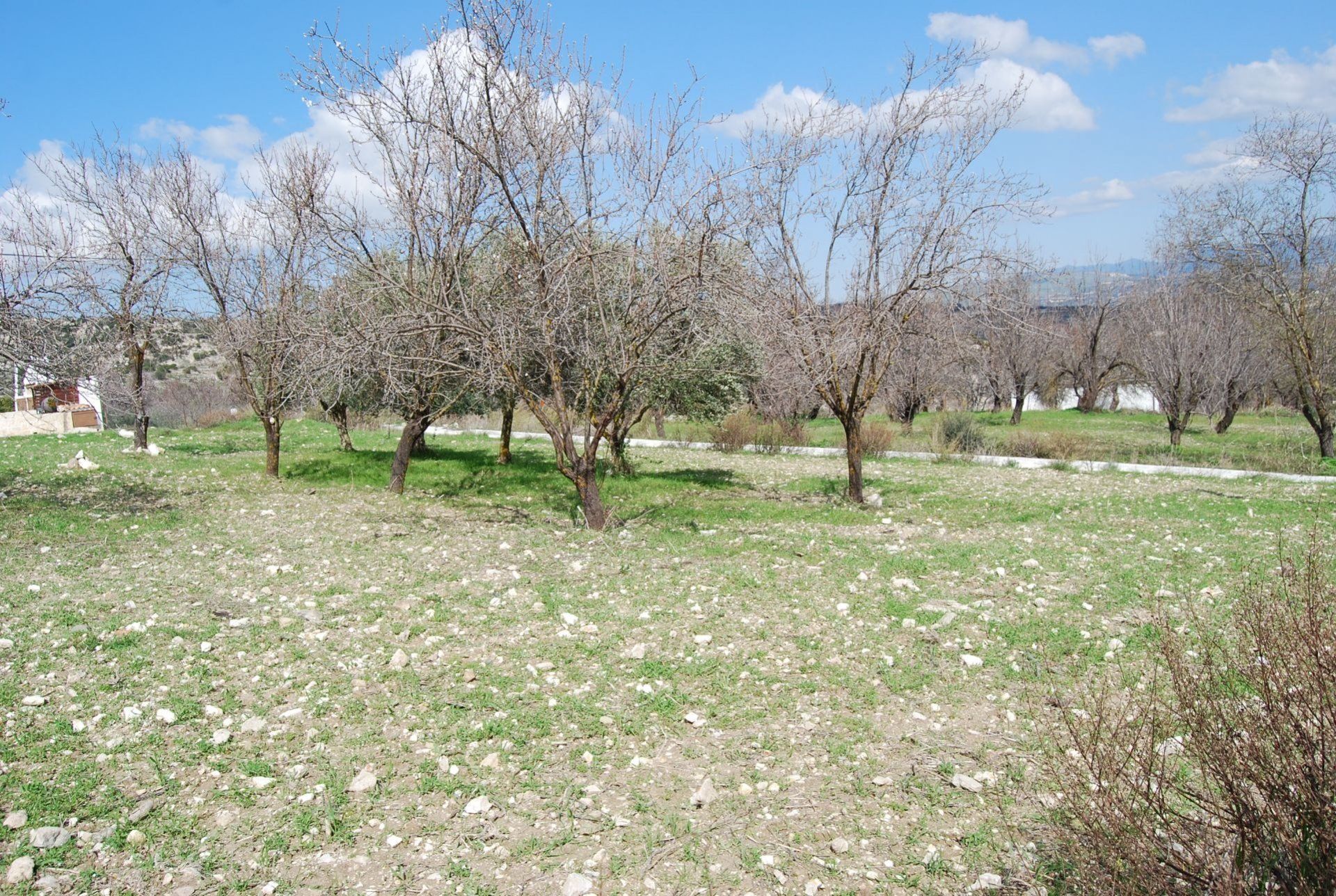 casa no Mesa Chorio, Pafos 11643390