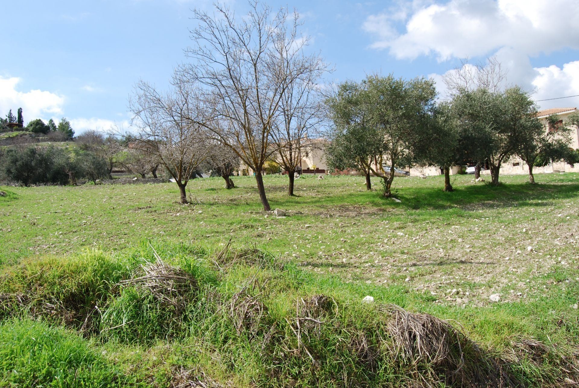 casa no Mesa Chorio, Pafos 11643390