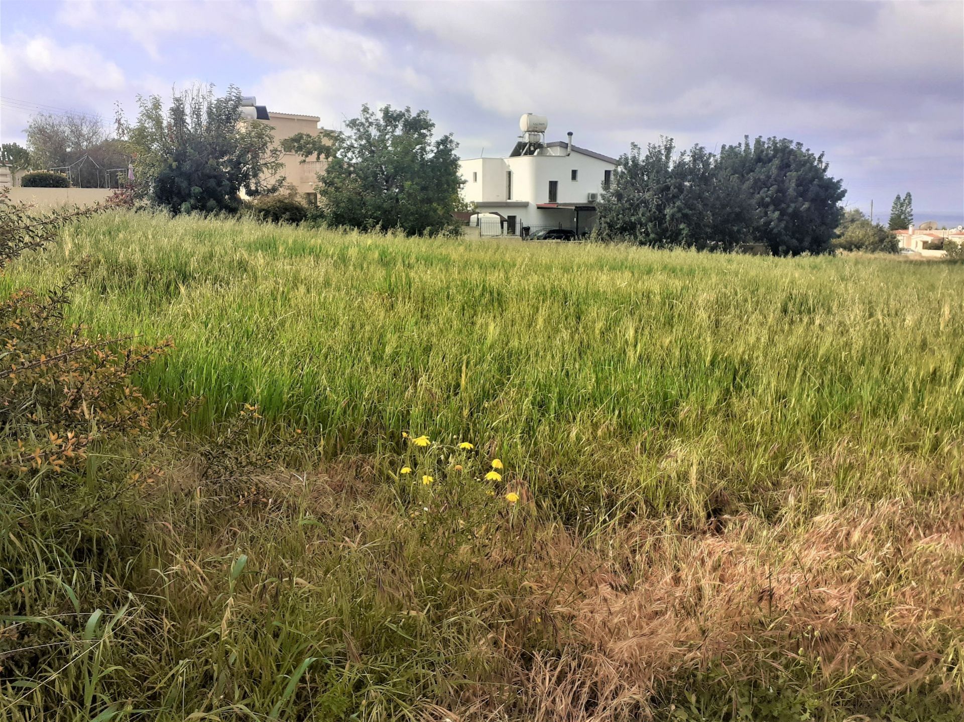 Huis in Pegeia, Pafos 11643508