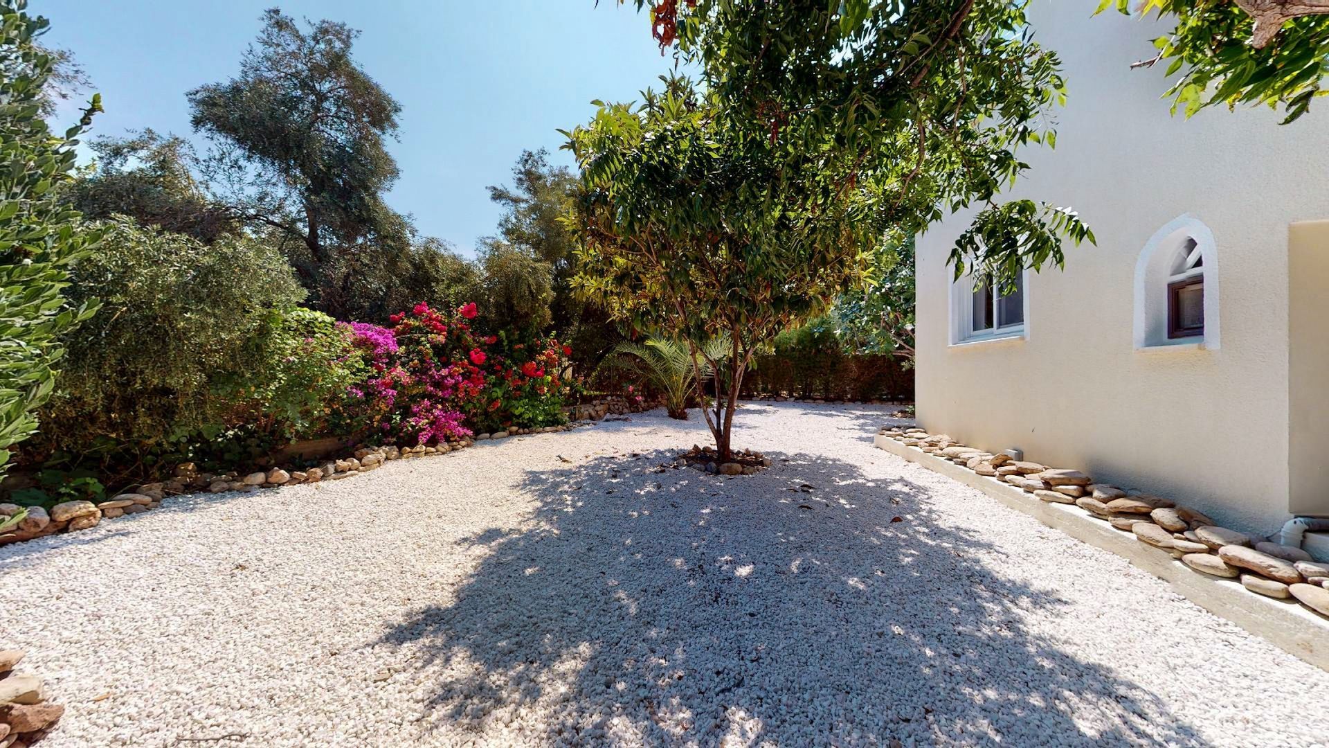 House in Peyia, Paphos 11643613