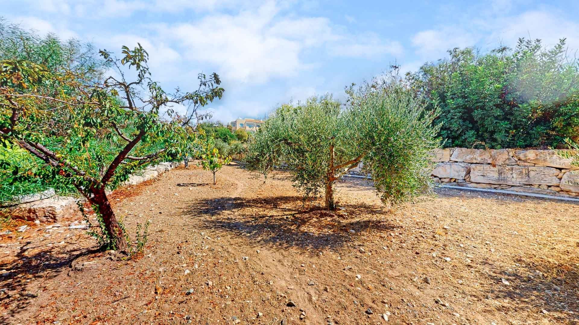 Rumah di Tala, Paphos 11643807