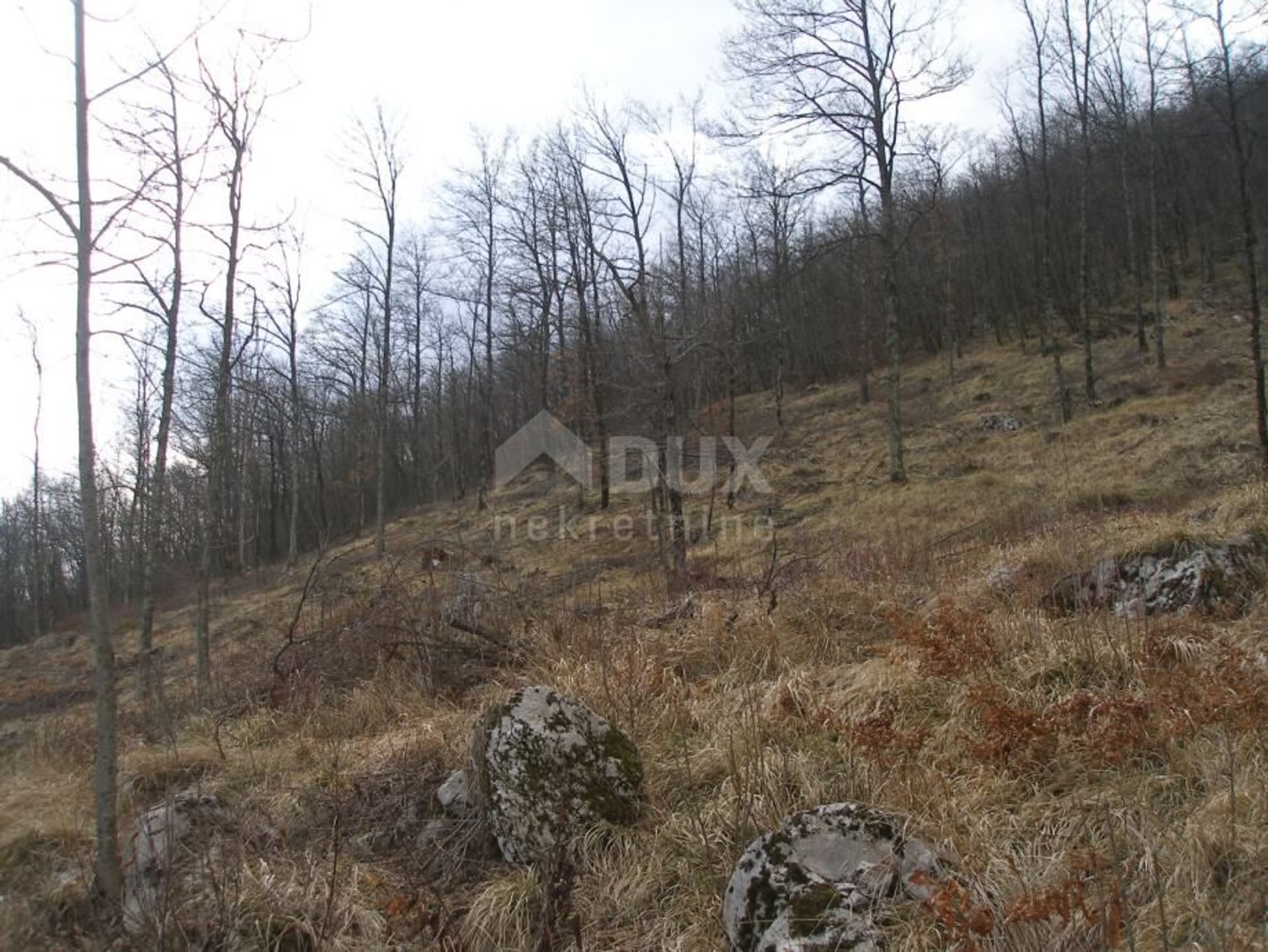 Land i Icici, Primorsko-Goranska Zupanija 11644236