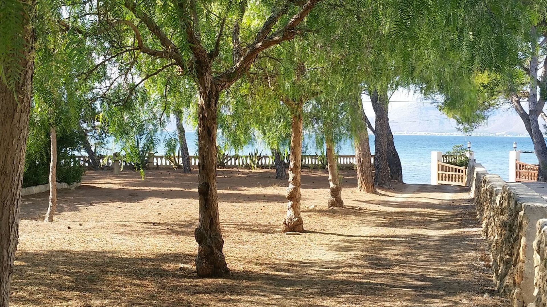 Haus im Alcúdia, Balearic Islands 11645173