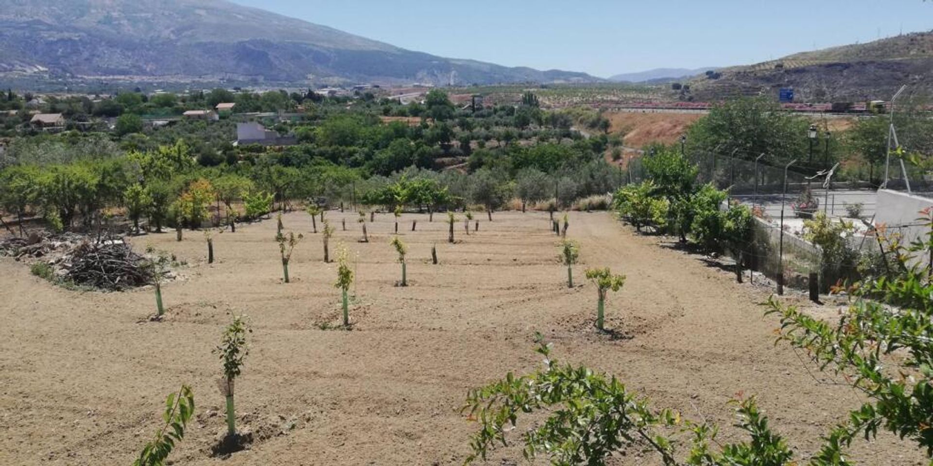 σπίτι σε , Andalucía 11648092