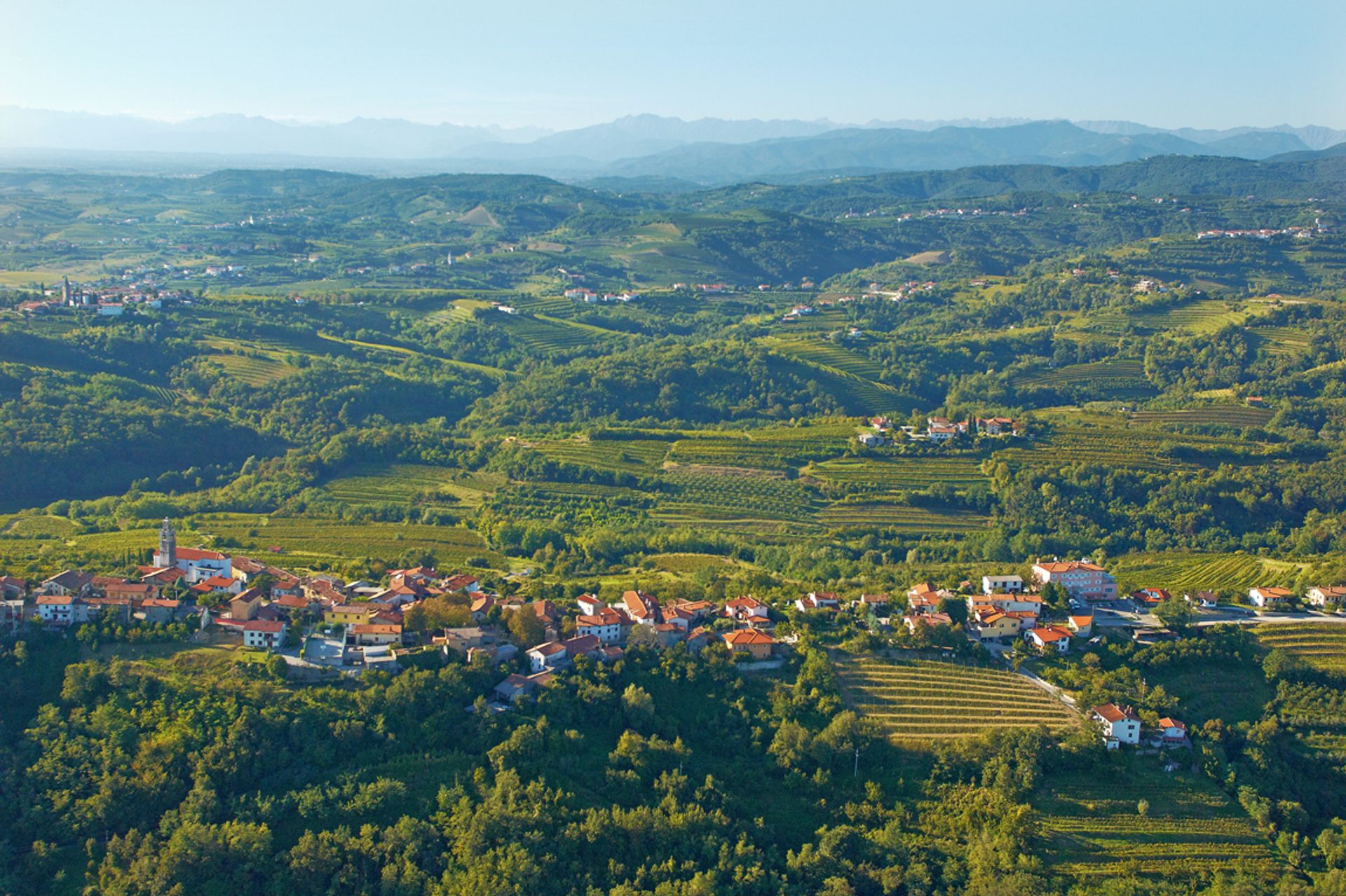 Hus i Kozana, Nova Gorica 11648158