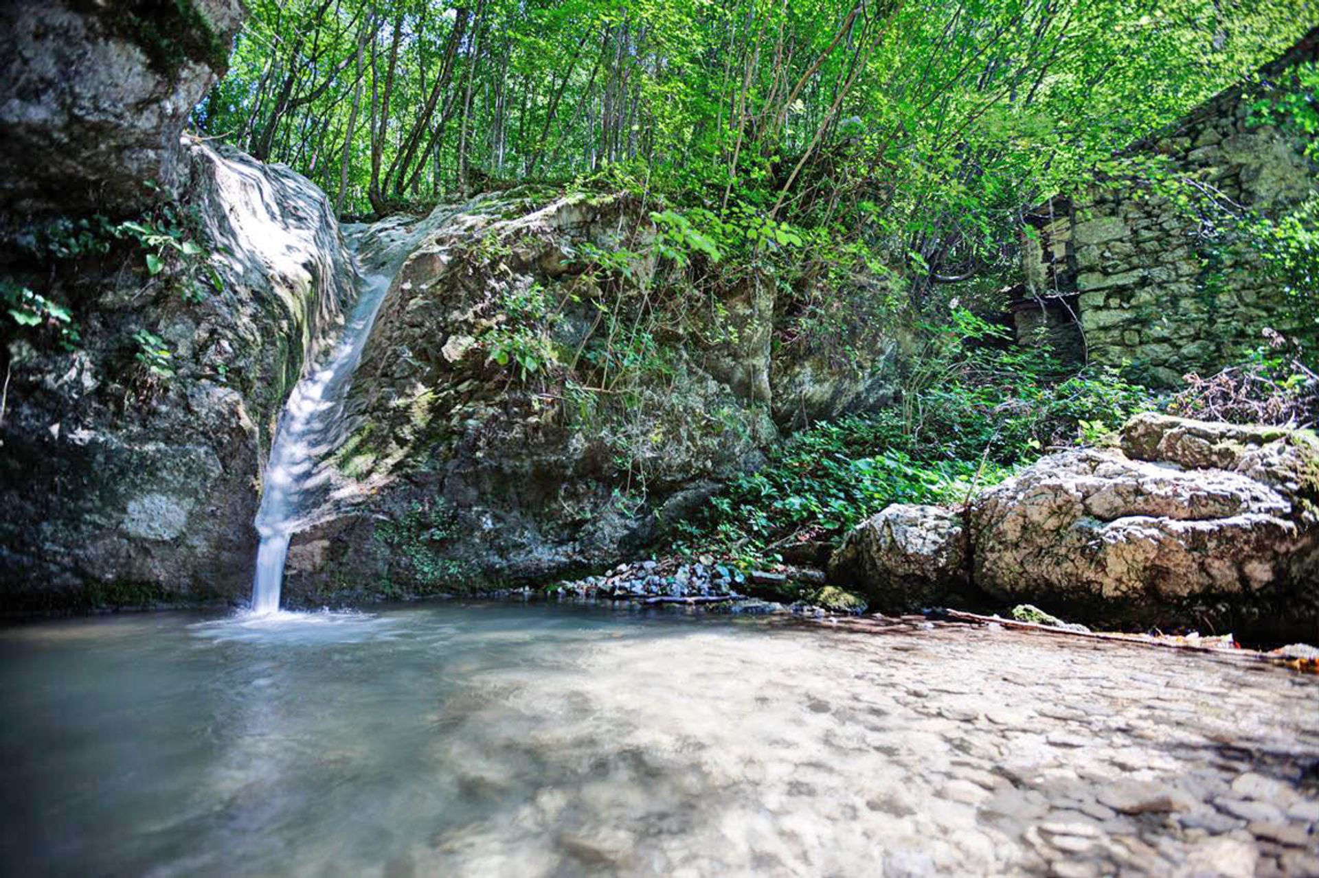 Andere im Tolmin, Tolmin 11648173