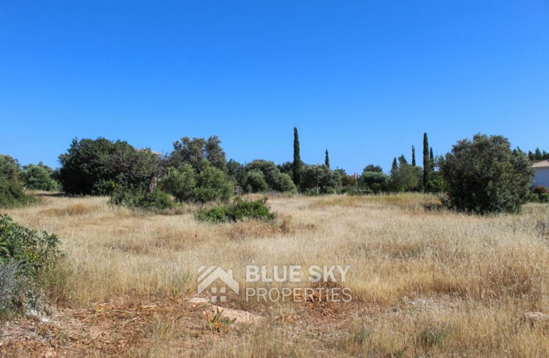 Land i Kouklia, Paphos 11649156