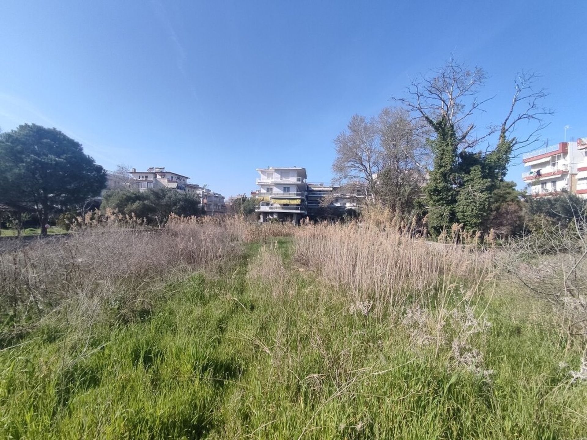 Land in Peraia, Kentriki Makedonia 11649232