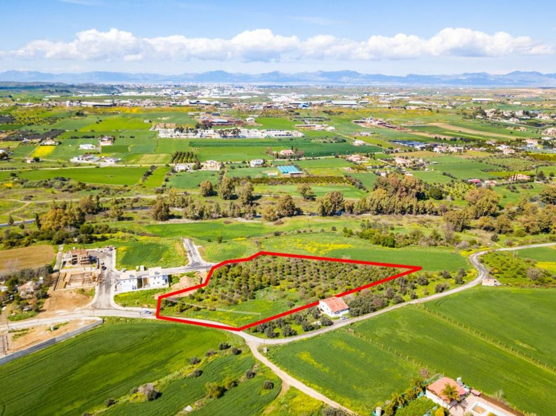 Land i Nisou, Lefkosia 11650537